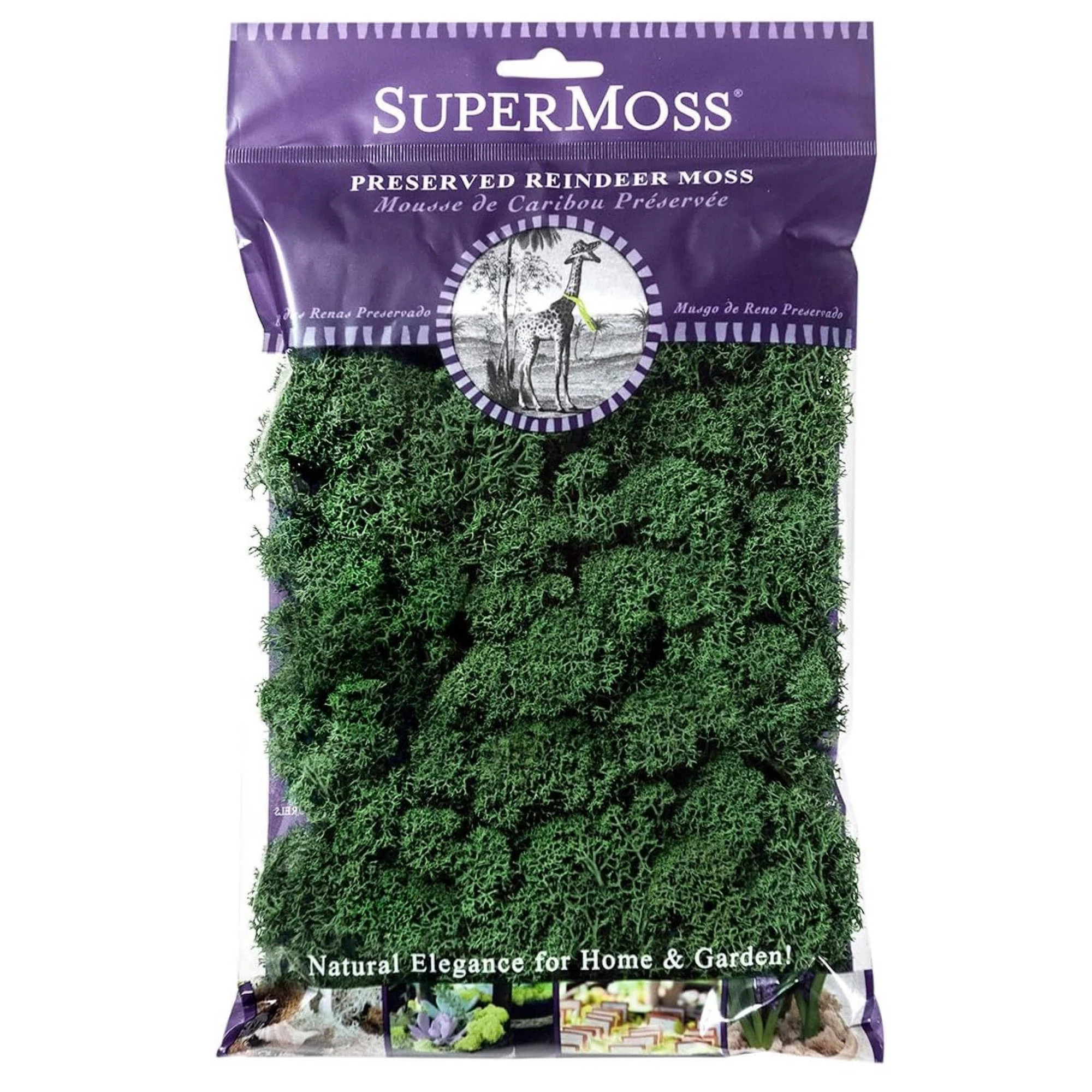 SuperMoss Preserved Reindeer Moss, Forest Green, 2oz | Wayfair North America