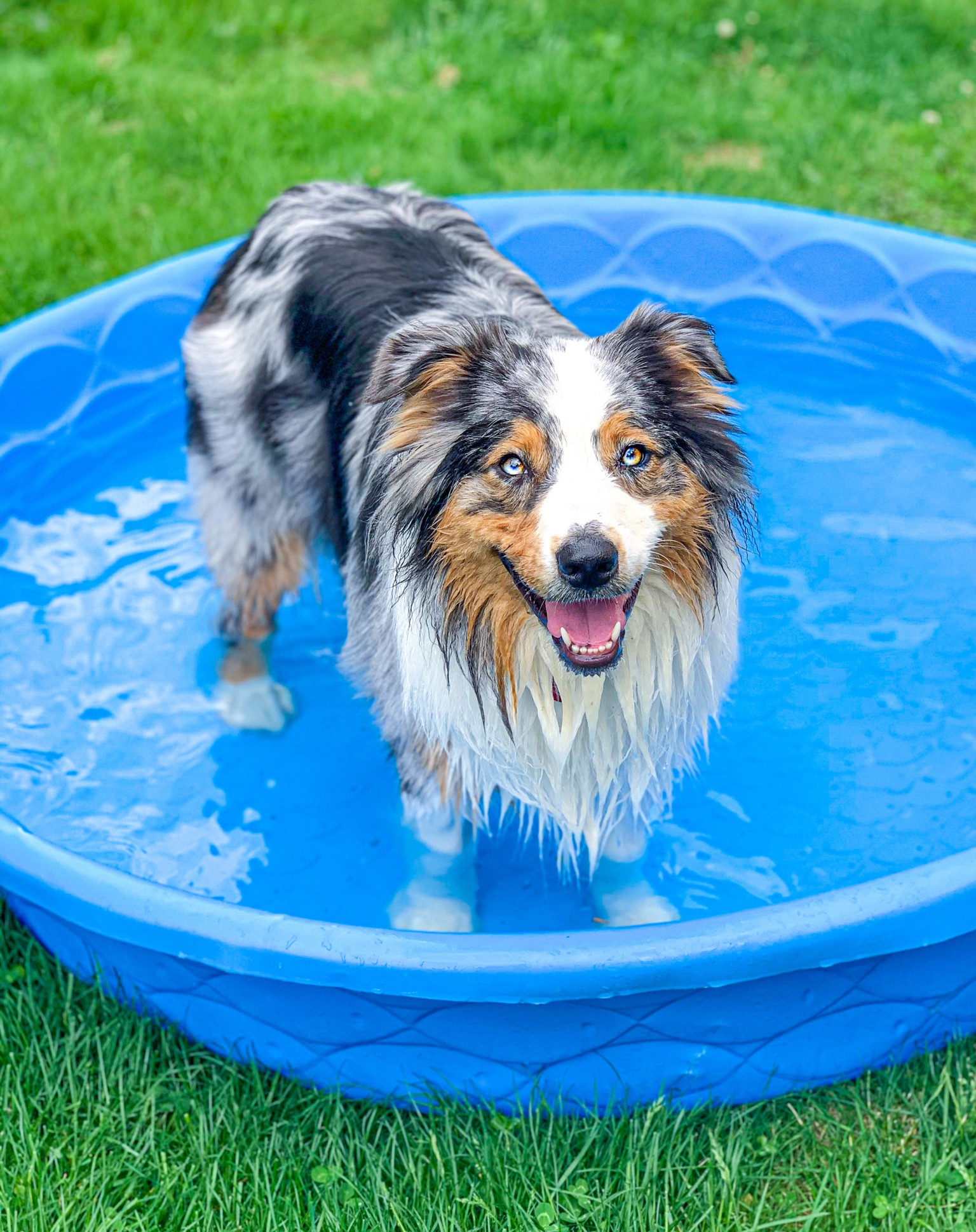Lacie loves swim days!

#LTKswim #LTKhome #LTKSeasonal