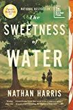 The Sweetness of Water (Oprah's Book Club): A Novel    Paperback – May 3, 2022 | Amazon (US)