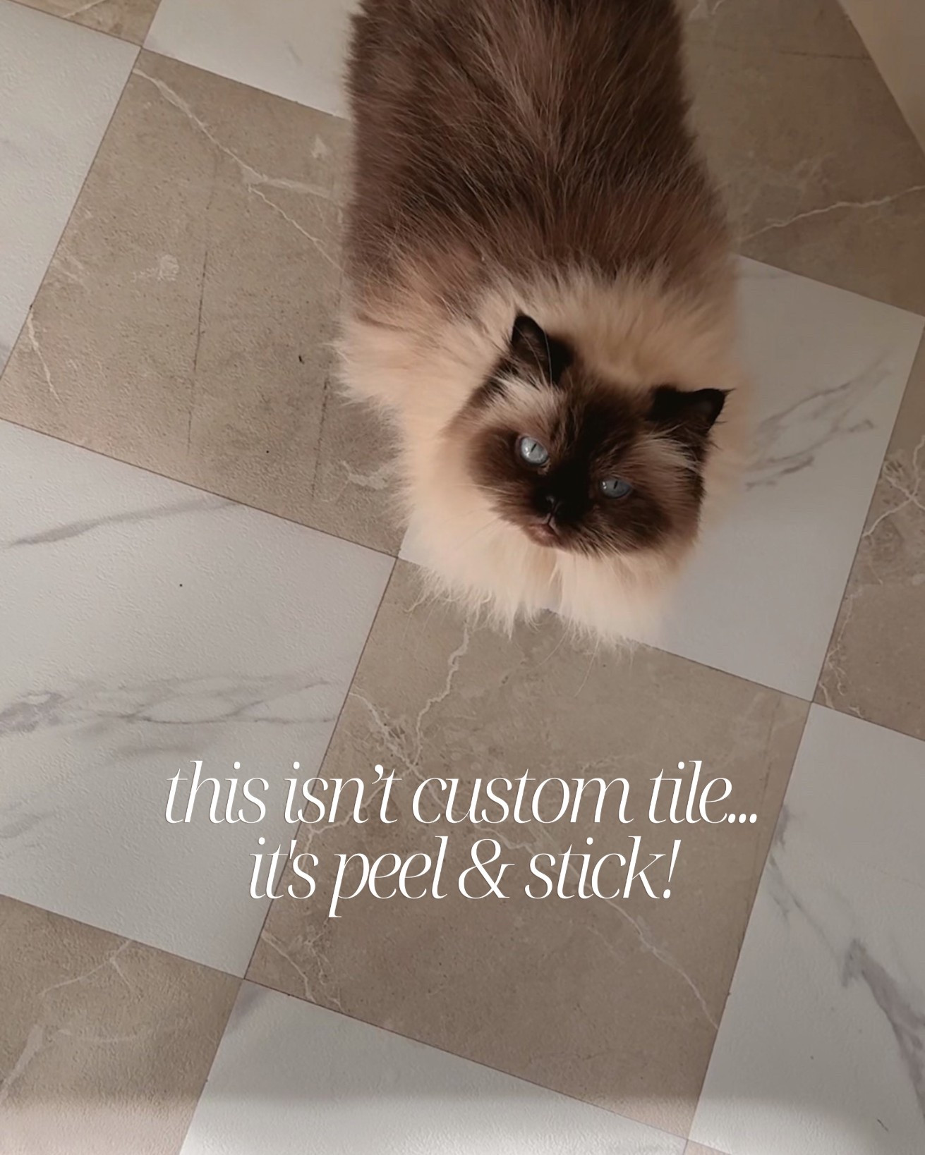 Proof you shouldn’t ignore small spaces.

I’ve been dying to do a checkered tile somewhere in our home, and the hallway felt like the perfect spot.

I tried a few peel-and-stick sets, but every white leaned a little too blue — so I mixed two different ones, and this combo ended up being perfect.

Installed over paper so it’s totally renter-friendly (and ideal if you change your mind often… guilty). Linked it here for you 🤍

#LTKHome