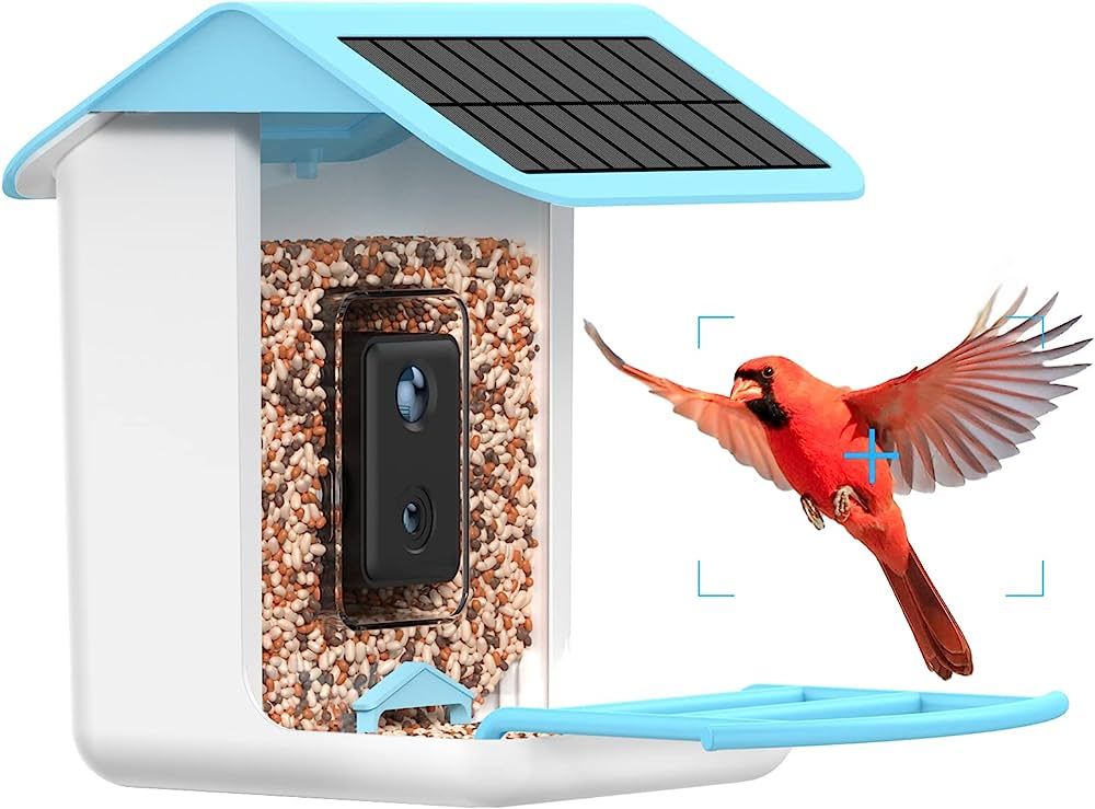 AUXCO Bird Feeder with Camera, 2023 Newest Solar Panels Charging Smart Bird Feeder Camera, AI Ide... | Amazon (US)