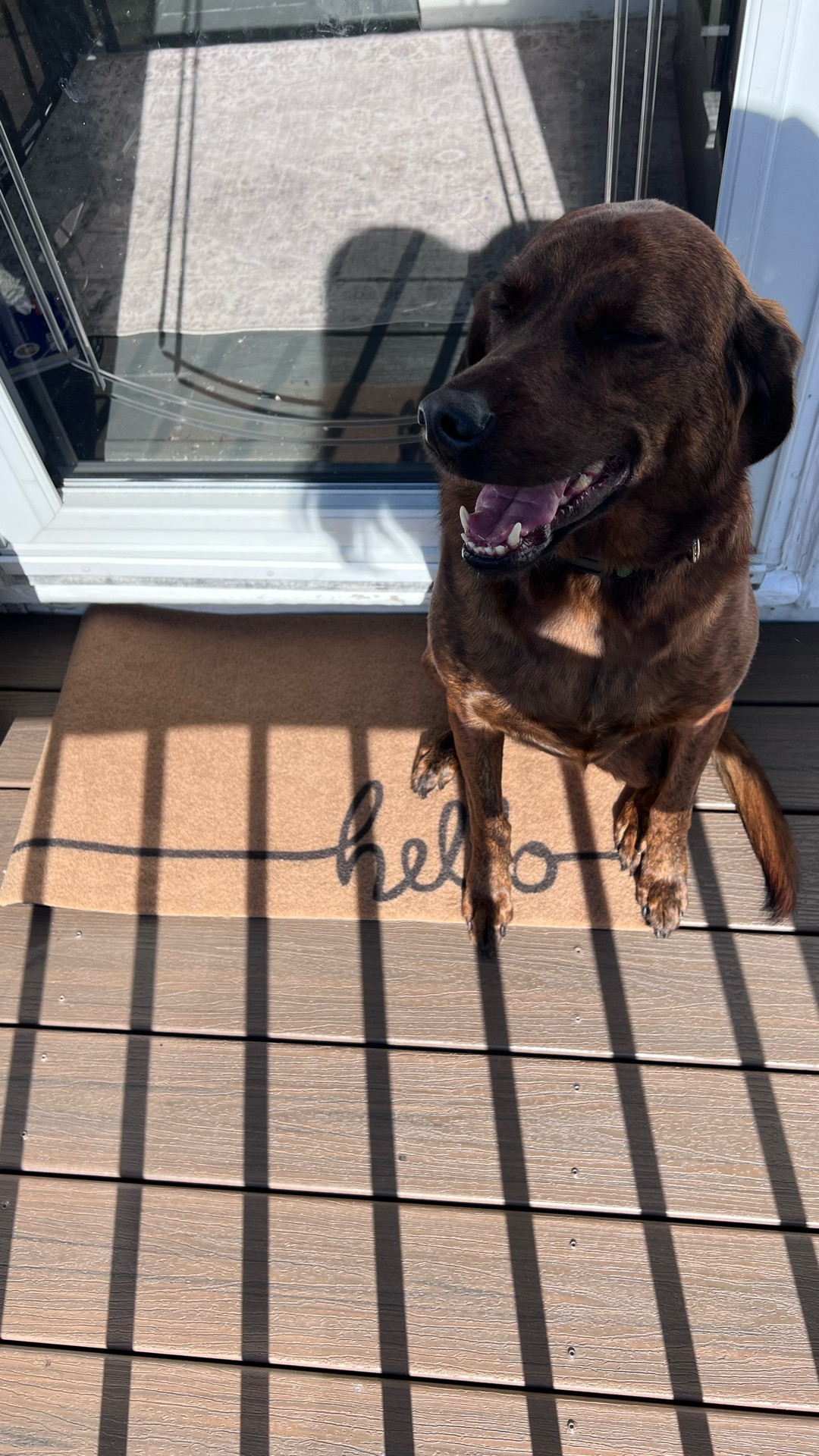 Hello welcome mat for porch

#LTKHome #LTKFindsUnder50 #LTKSeasonal