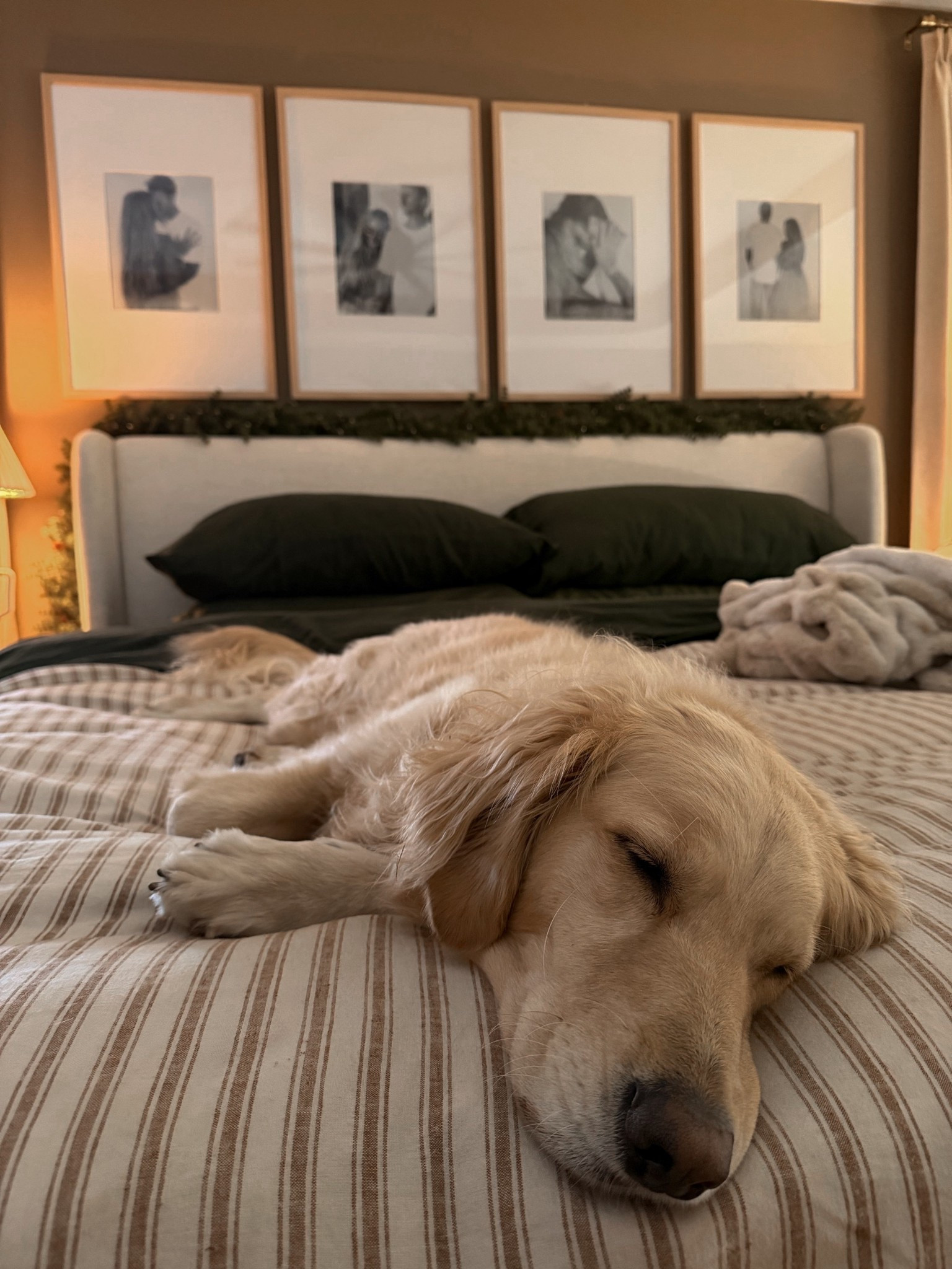 Bedding & frames deets🤎💤 LOVE this color for the holidays! Our fave Amazon sheets! & we’ve had these 20x30 frames for YEARS! Highly suggest them! 

Home decor / seasonal bedding / target home / Amazon / bedsure / Holley Gabrielle / primary bed / cozy / neutrals 

#LTKFindsUnder100 #LTKHoliday #LTKHome