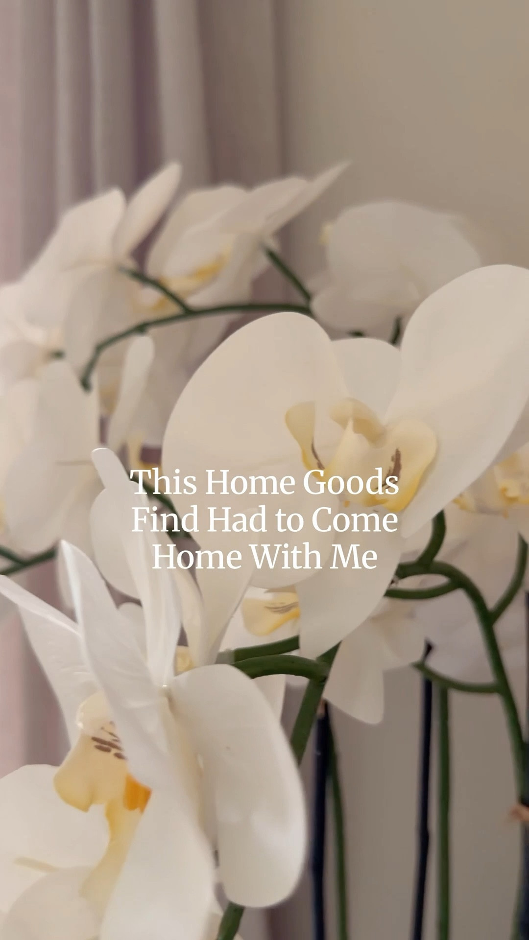 Beautiful home decor finds you didn’t know you needed 🤍

I recently found the most beautiful orchid arrangement at HomeGoods, and this one absolutely had to come home with me. 

Orchids are one of my favorite ways to add a touch of elegance and softness to a space, and they instantly make a room feel more styled and elevated.

Since HomeGoods finds can be hard to link, I’m sharing some of my favorite orchid arrangements and pieces to create your own orchid centerpiece so you can get the same look at home.

#ltkhome #homedecorfinds #orchiddecor #homegoodsfinds #neutralhome #homestyling

#LTKmomlife #LTKHome #LTKvlog