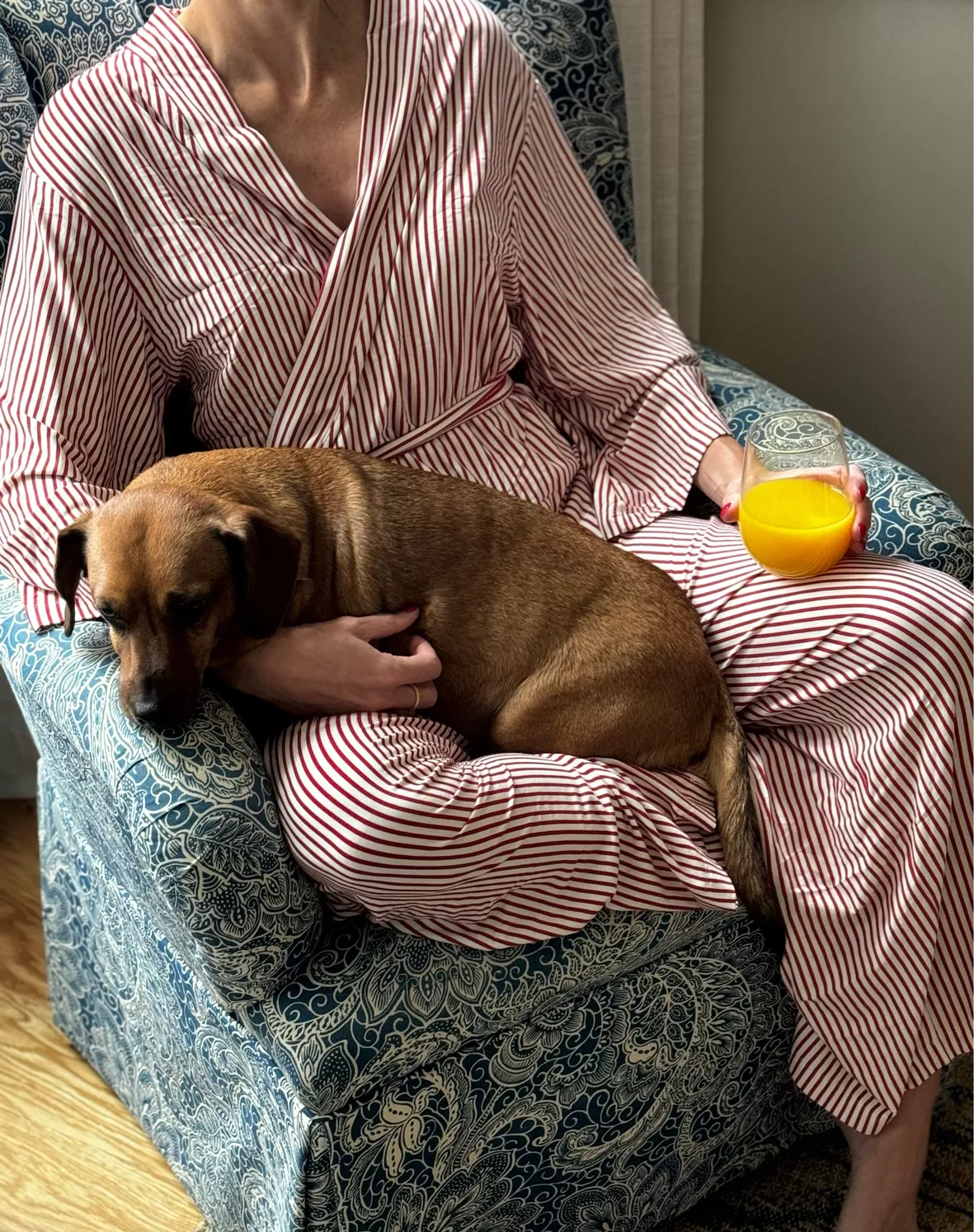 Dog PJs curated on LTK