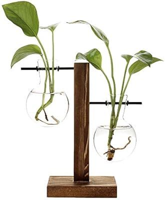 ADSRO Stand Glass Planter Bulb Vase, Glass Flowerpot with Vintage Wood Frame Holder for Hydroponi... | Amazon (US)