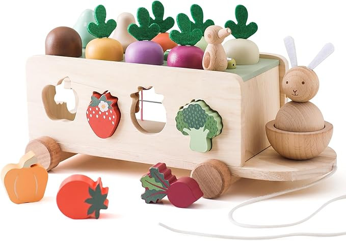 OESSUF Montessori Toys Toddlers Wooden Educational Toys for Baby Boys Girls, Shape Sorting & Matc... | Amazon (US)