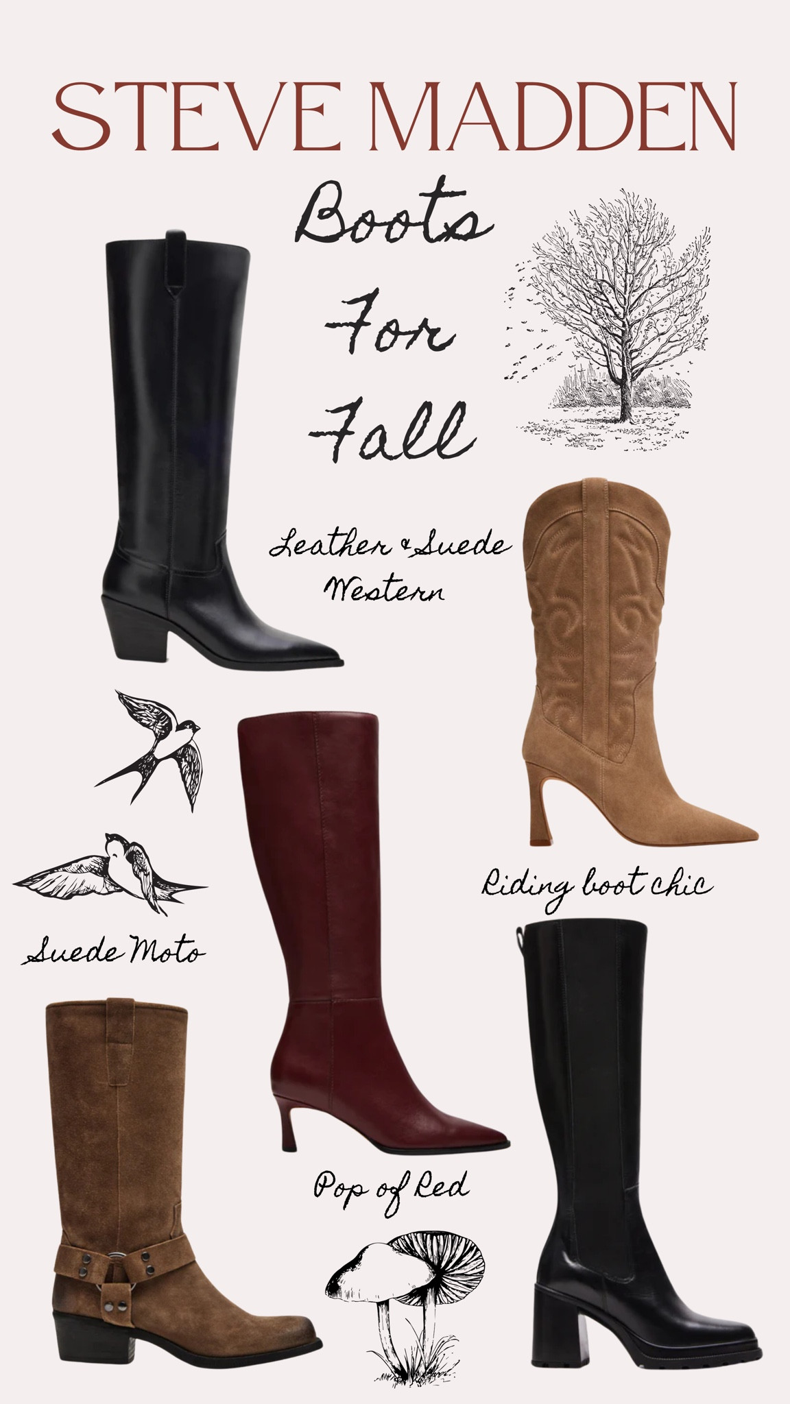 Steve Madden Boots, Fall boots, Suede boot, Western Boots, Tall Boots, Heeled Boots, Burgundy boots, Rinding boots, Leather boots, Moto Boots, Suede Moto Boots

#LTKSeasonal #LTKFallSale #LTKShoeCrush