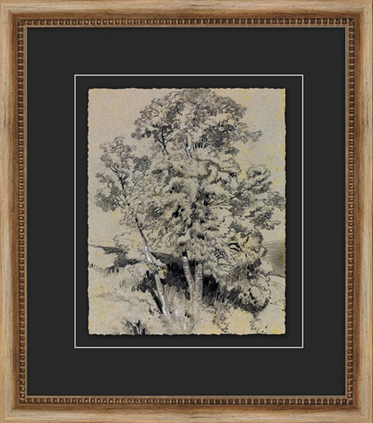 Antique Tree Study " Antique Tree Study 1 " Painting Print | Wayfair North America