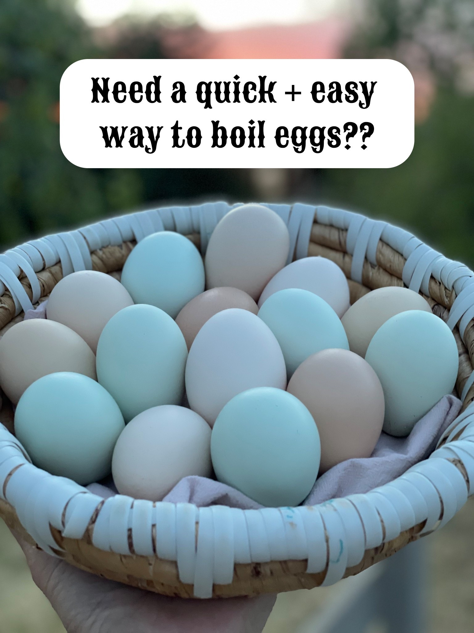 Living on a ranch with chickens and eating a lot of eggs, I have tried so many methods for boiling eggs and this is by far the quickest and easiest I’ve found!!👏🏻👏🏻👏🏻 #amazon #amazonfinds #farmtoforkcooking

#LTKHome #LTKFamily #LTKSeasonal