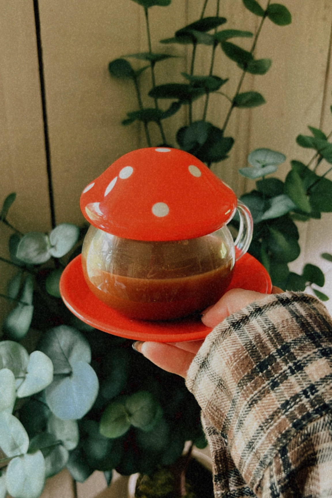 Mushroom mugs 

#LTKGiftGuide #LTKSeasonal #LTKunder50