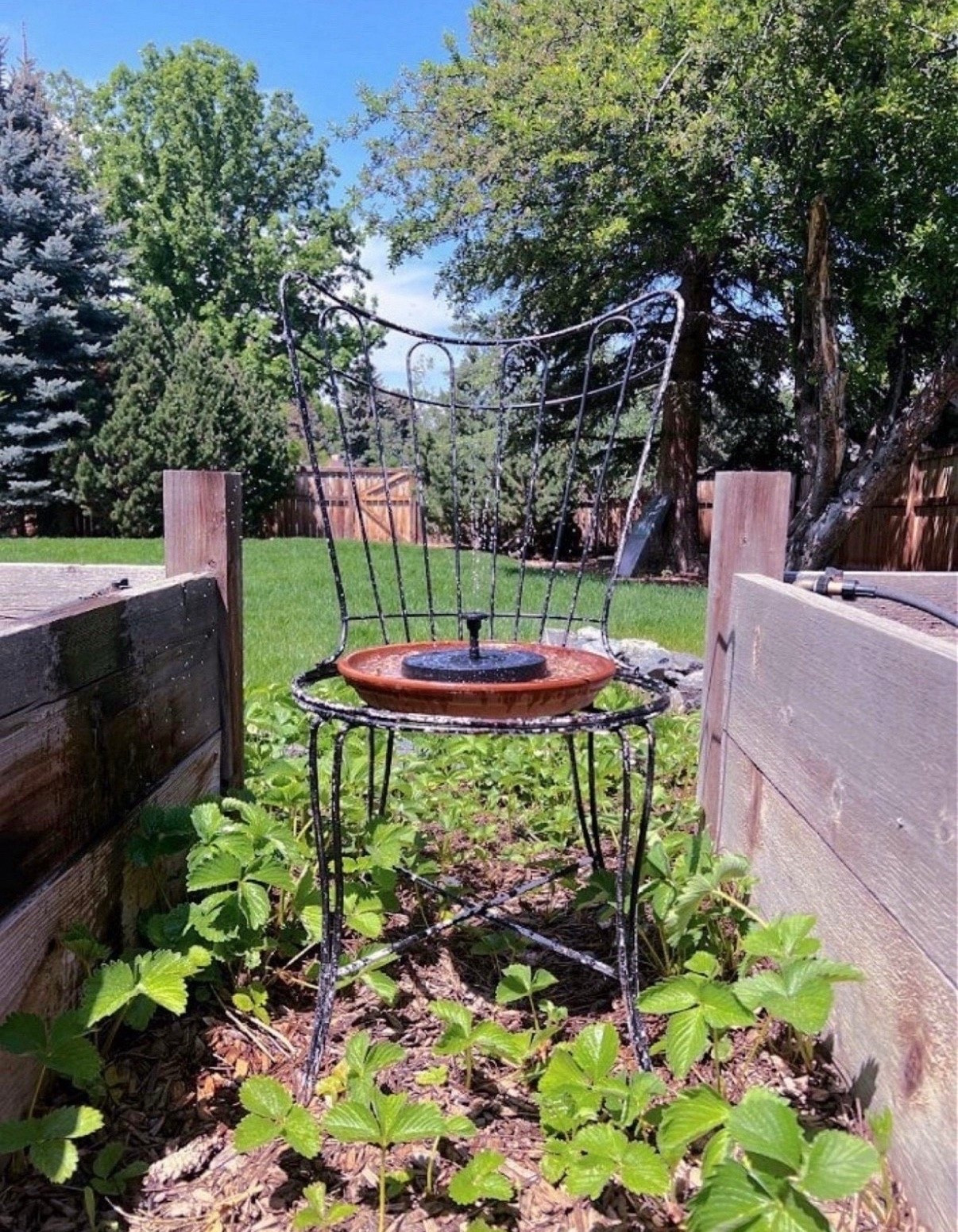 With gardening season almost here, I’ve been thinking about little ways to refresh the space. A solar fountain is at the top of my list—it’s simple to set up, easy on the budget, and adds the softest, most peaceful sound to the garden. No big project, just a sweet little upgrade that makes a big difference!



#LTKSeasonal #LTKHome #LTKSaleAlert