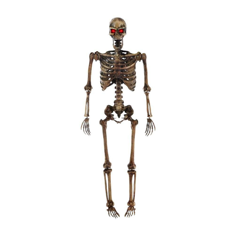 Home Accents Holiday 5 ft. LED Pose-N-Stay Decayed Skeleton-2031-60090 - The Home Depot | The Home Depot