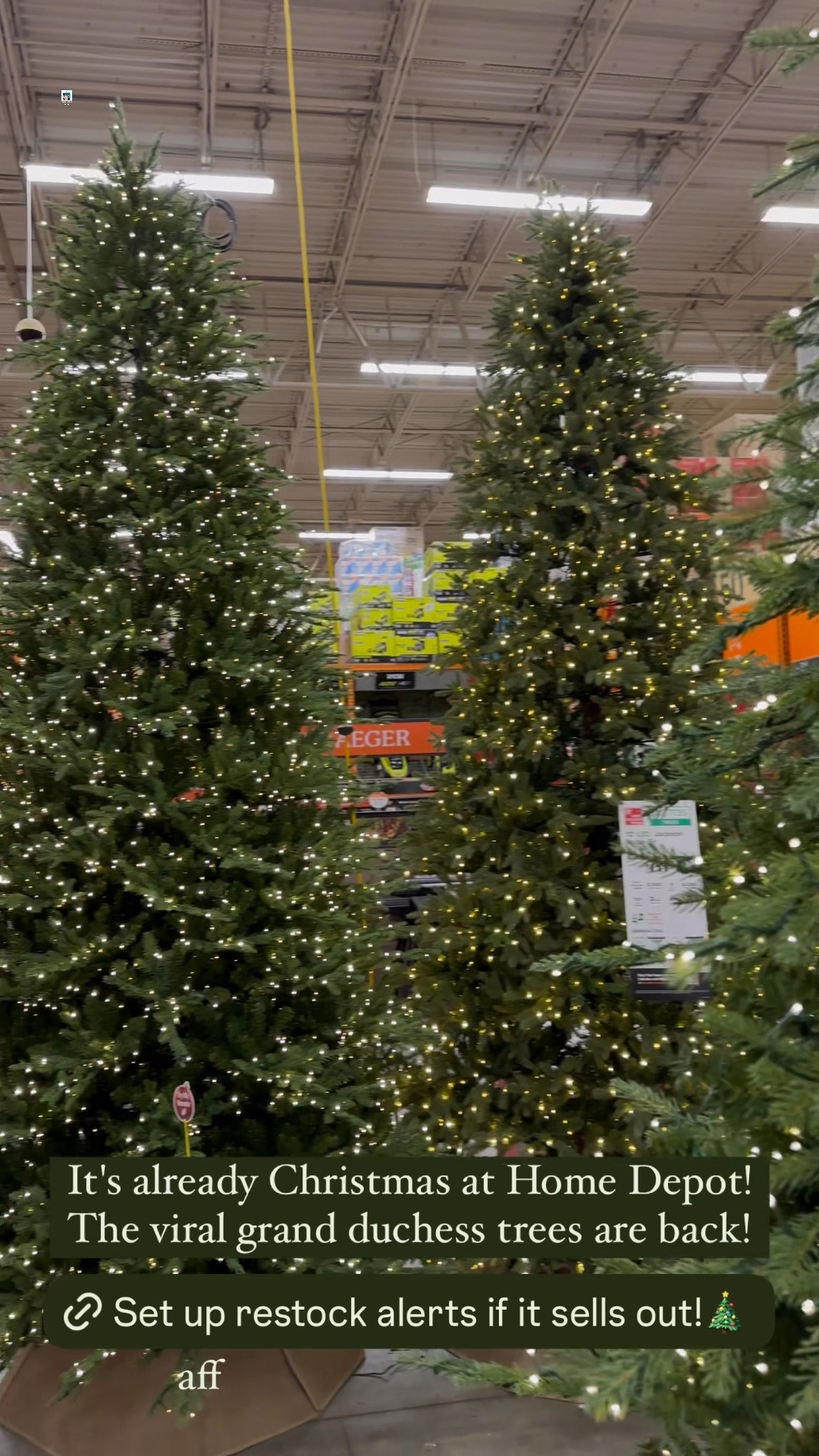 Gorgeous viral grand duchess tree back in stock at Home Depot!✨🎄❤️
...............
Pre lit tree twinkle tree Christmas tree viral Christmas tree 7.5 foot Christmas tree 9 foot Christmas tree 12 foot Christmas tree Home Depot Christmas tree Christmas decor indoor Christmas decorations living room Christmas decorations traditional Christmas decorations traditional Christmas decor Christmas decor holiday decorations holiday decor 

#LTKHoliday #LTKFamily #LTKHome