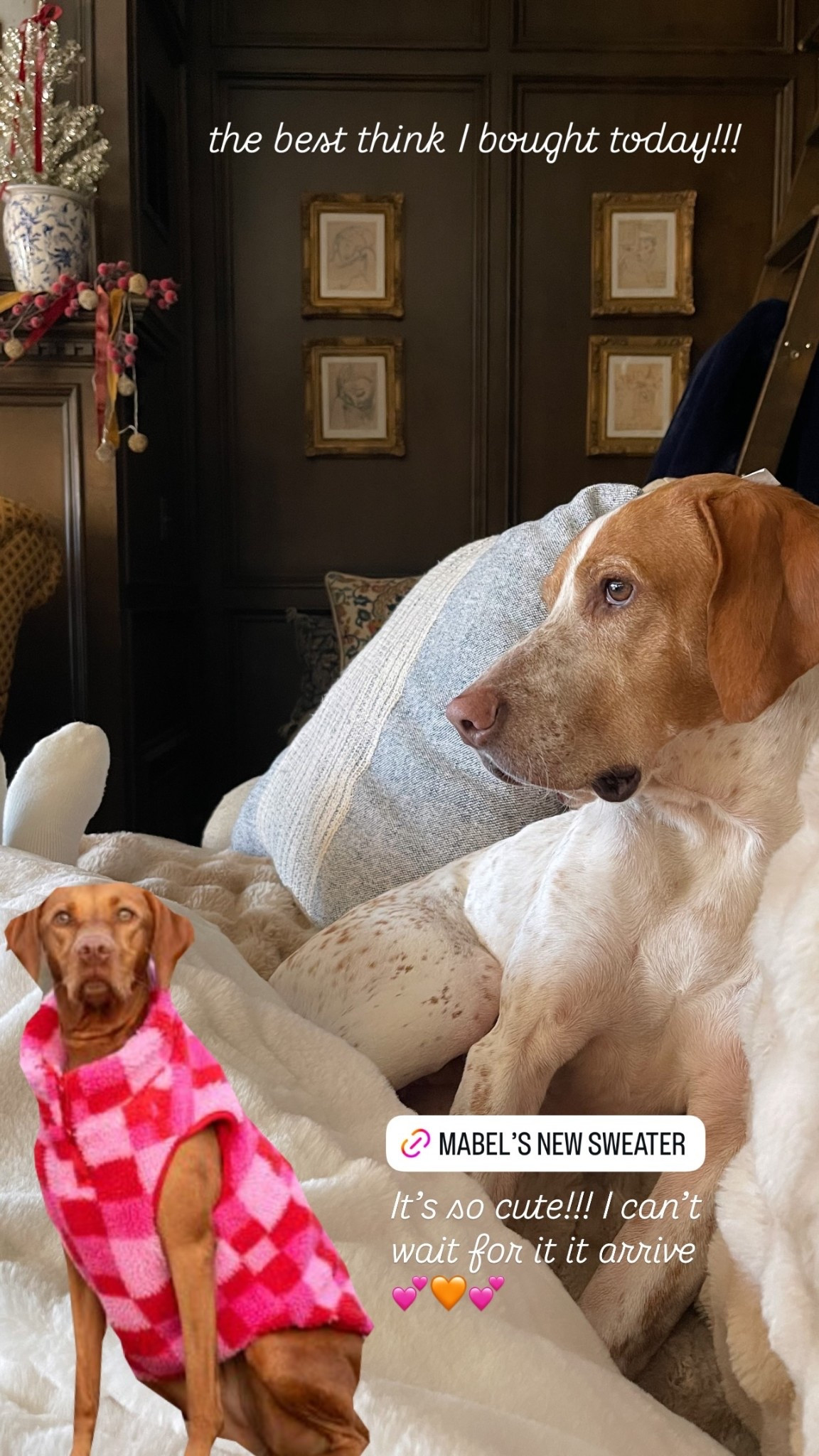 The perfect dog sweater!!! 

the best think I bought today!!! It’s so cute!!! I can’t wait for it it arrive 💕🧡💕

#LTKHoliday #LTKSeasonal #LTKCyberWeek