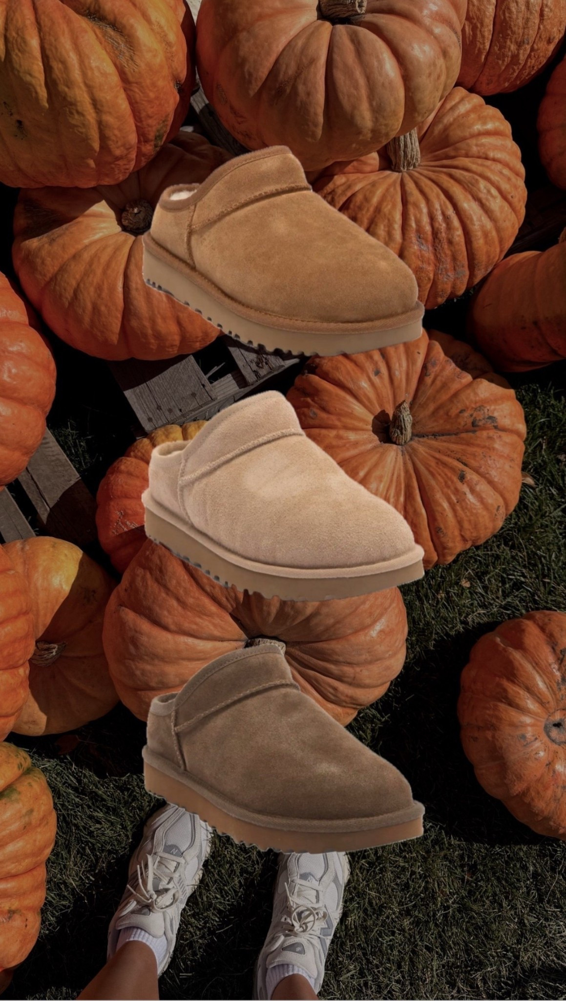 Fave uggs under $100! Soft, comfortable, and can be paired with just about any fall inspired outfit 🤌🏽

#LTKShoeCrush #LTKFindsUnder100 #LTKSeasonal