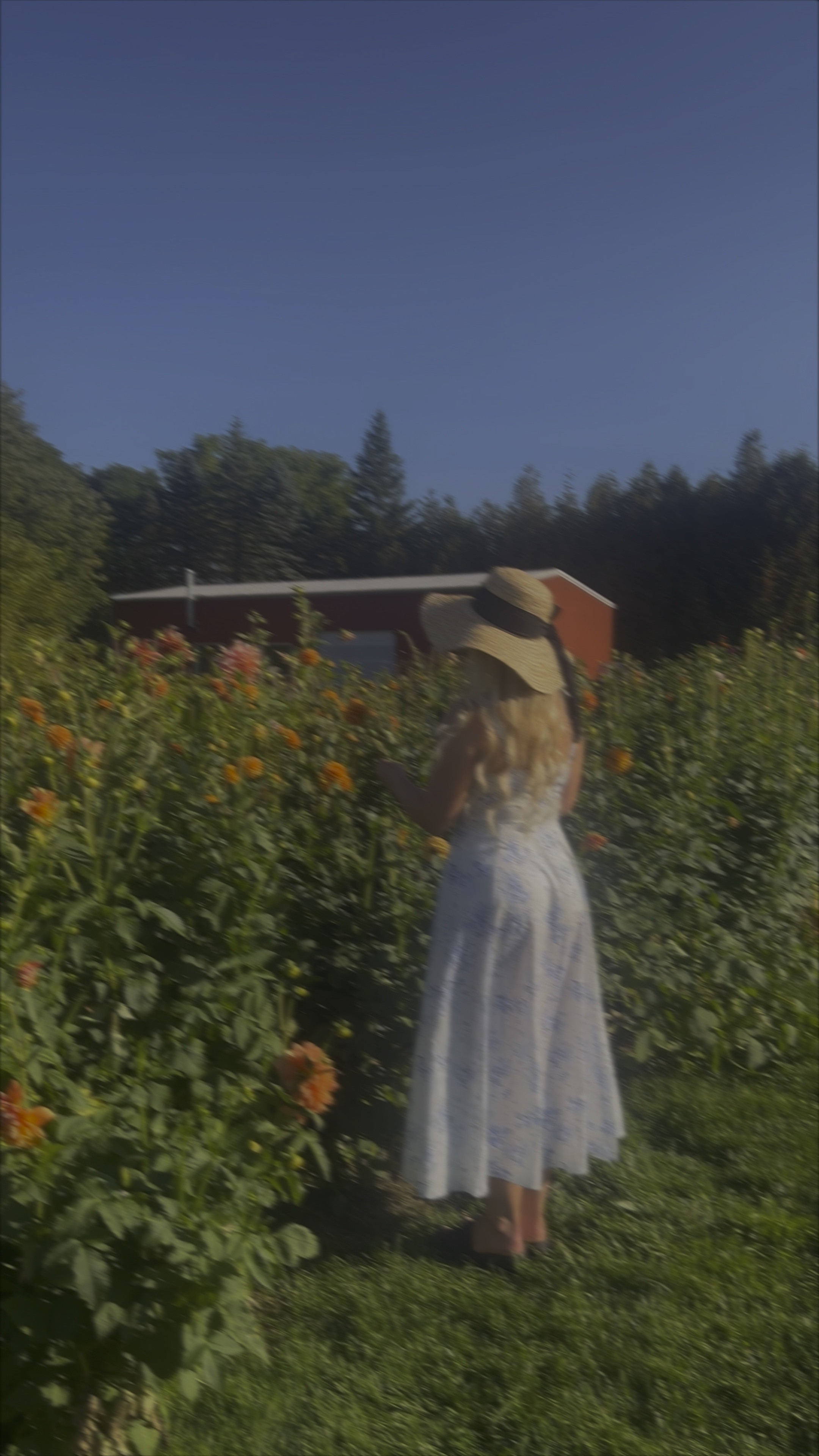 Now that it’s spring it’s time to bring back my favourite cutie dress 🥹 and the best part, it’s from AMAZON 🥹🫶 

🏷 spring, spring dress, bustier dress, spring picnic, florals, flower farm, spring wardrobe, Amazon finds 

#LTKfindsunder50 #LTKVideo #LTKSeasonal