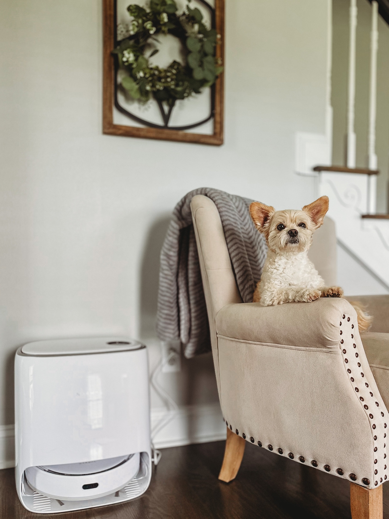 My literal maid! This robot vac mop is the best on the market! It mops and vacuums at the same time and it does an AMAZING JOB!!! It’s incredible. #cleaningproduct #cleanhome #robotvacuum

#LTKFind #LTKhome #LTKfamily