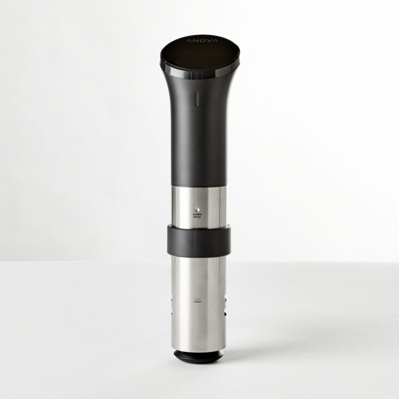 Anova Precision Sous Vide Cooker Wifi + Reviews | Crate and Barrel | Crate & Barrel