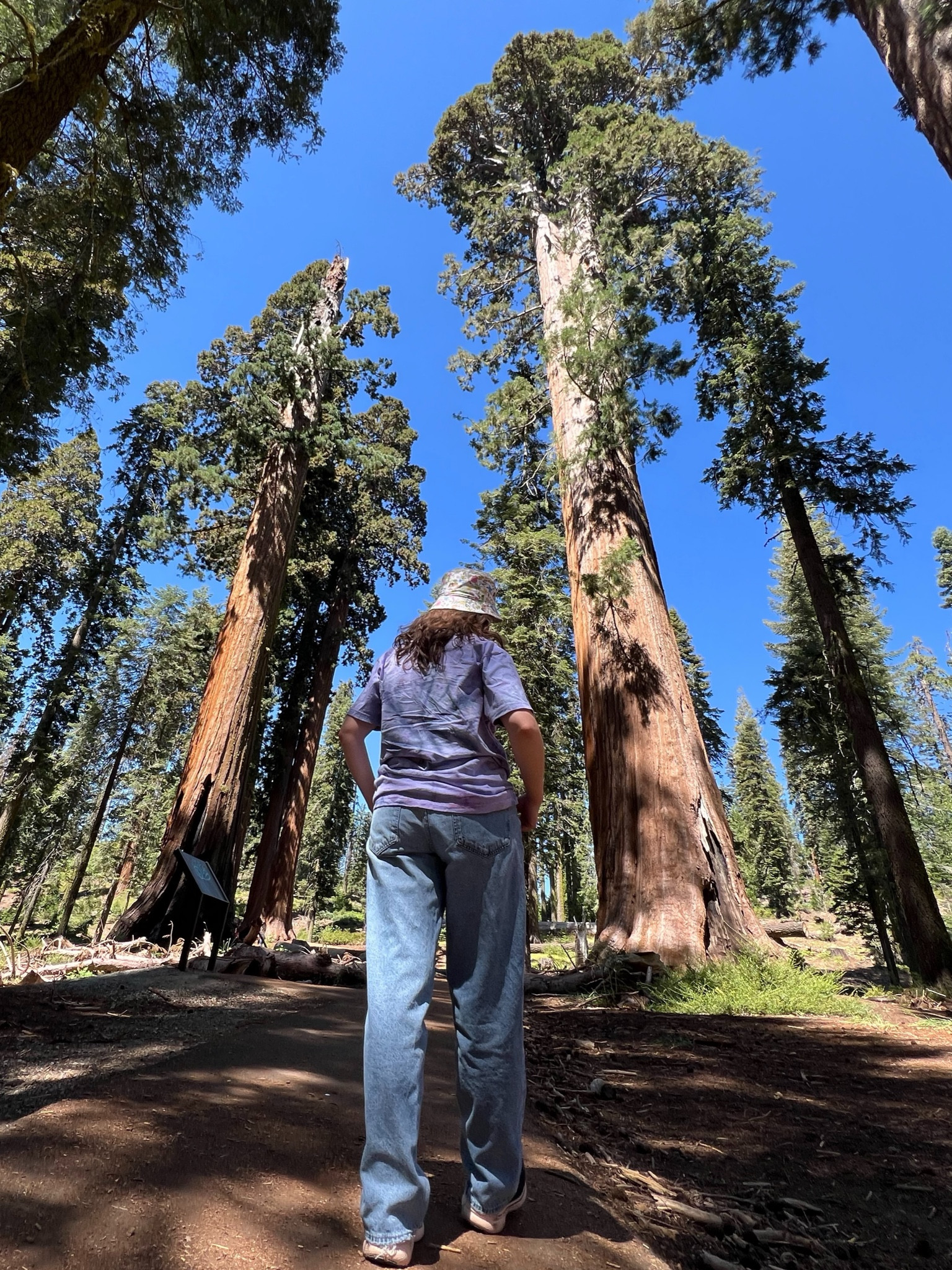 👖 Summer jeans and tie dye 🤝

Stomping around the sequoias near Shaver Lake California 📍 

#tiedye #summerjeans #buckethat 

#LTKSeasonal #LTKFindsUnder100 #LTKMidsize