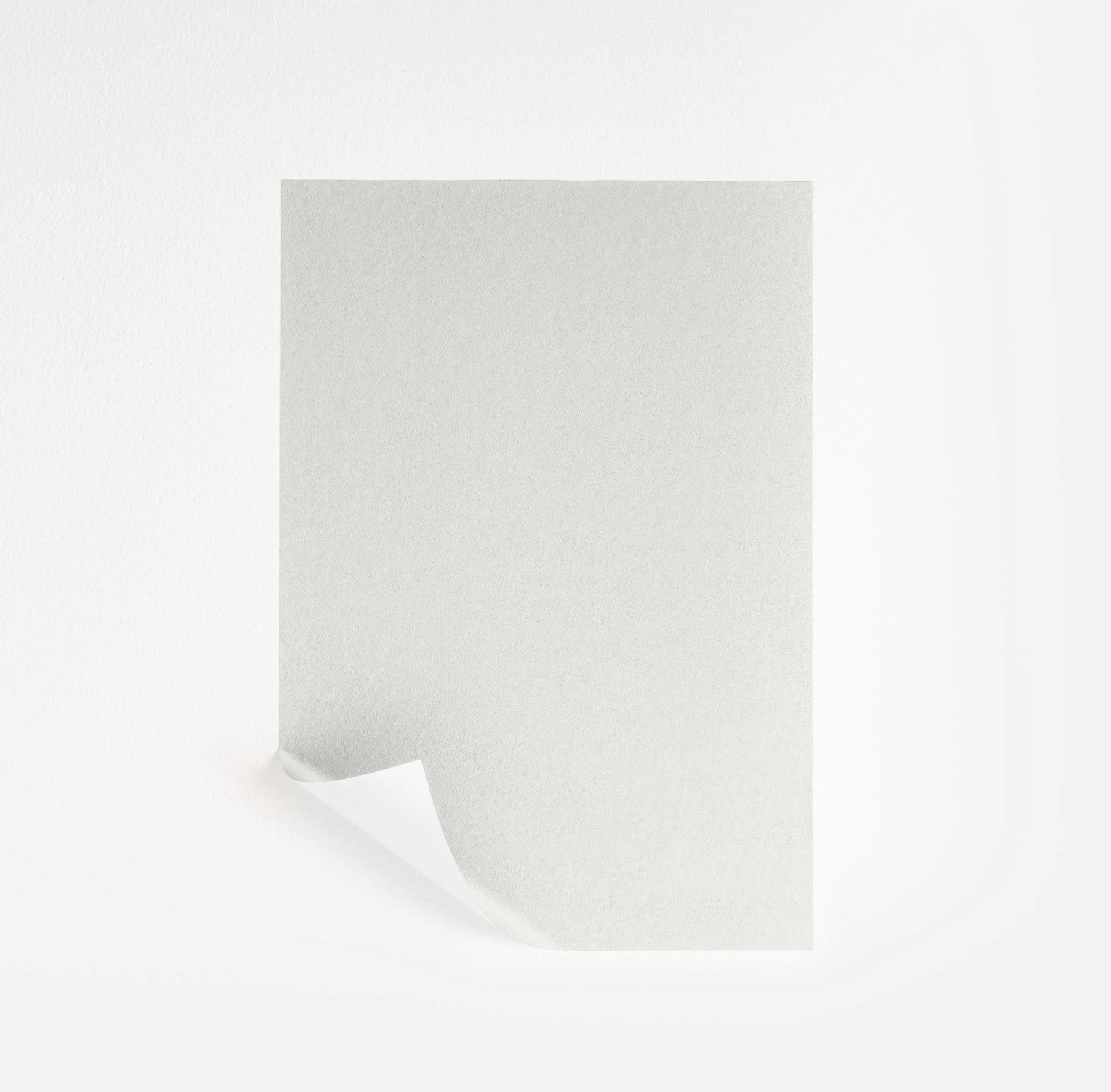 Ultra White Paint Sample by Benjamin Moore (CC-10) | Peel & Stick Paint Sample | Samplize