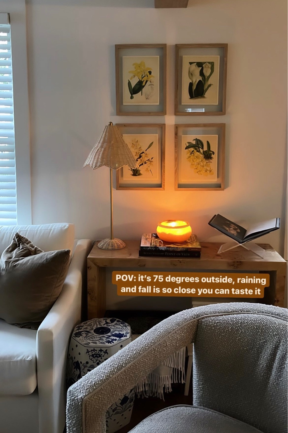 living room finds 🤍 

#LTKhome #LTKunder100 #LTKSeasonal