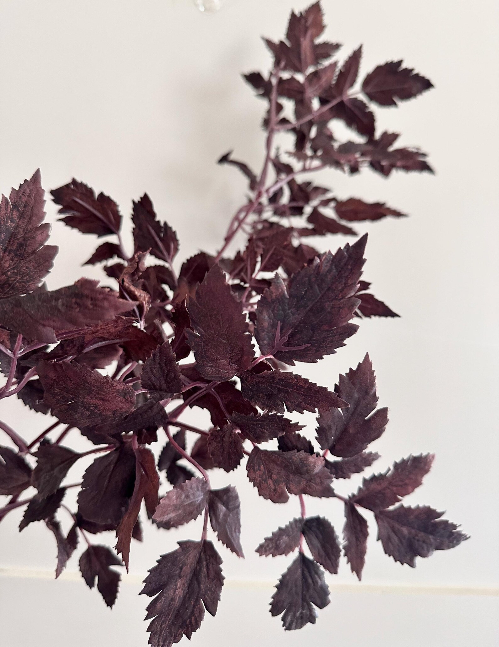 Large Faux Cimicifuga Ramosa Leaf Spray Plum - 31” | Etsy (US)