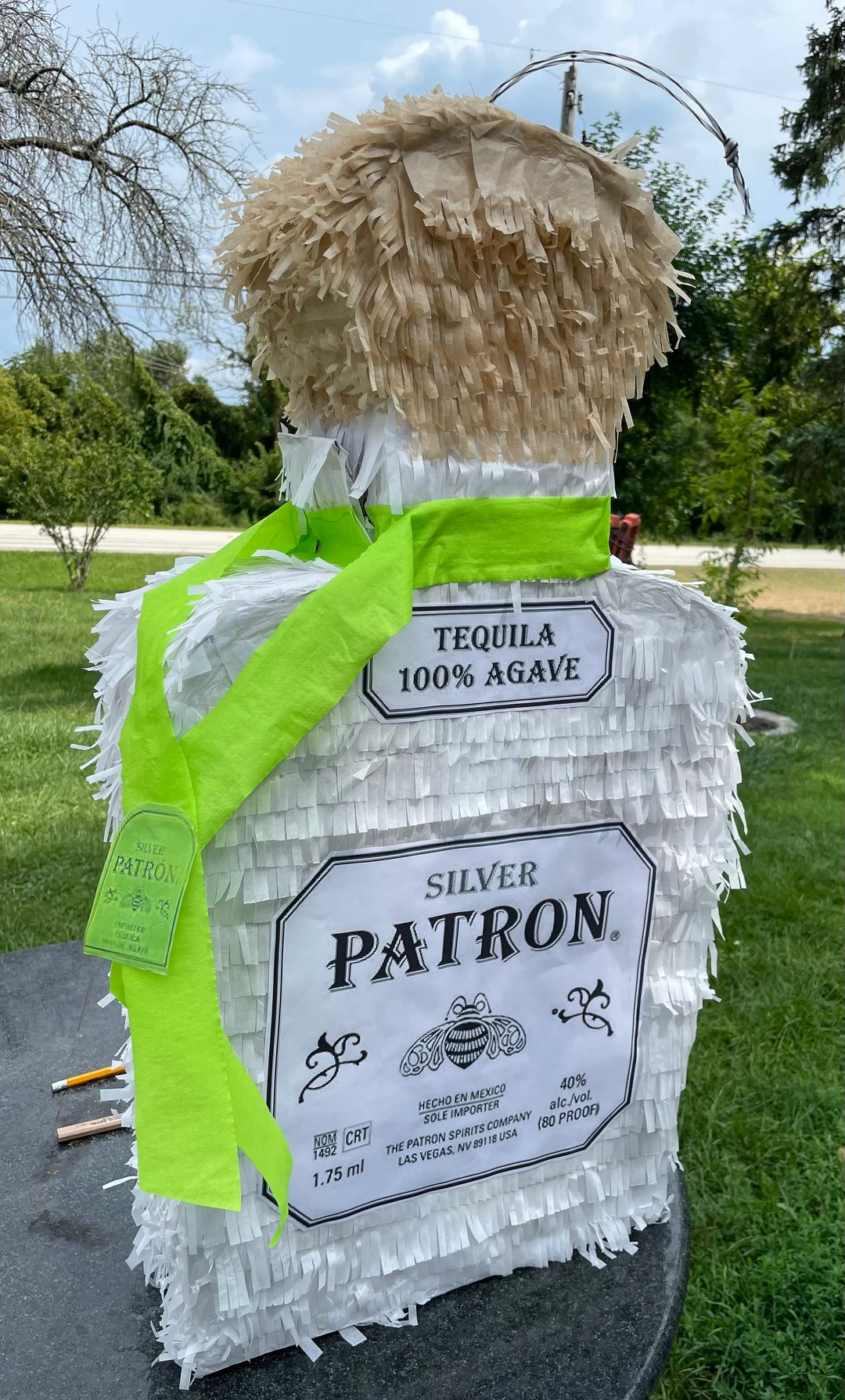 Tequila Patron piñata! 28” x 14” x 5” | Etsy (US)