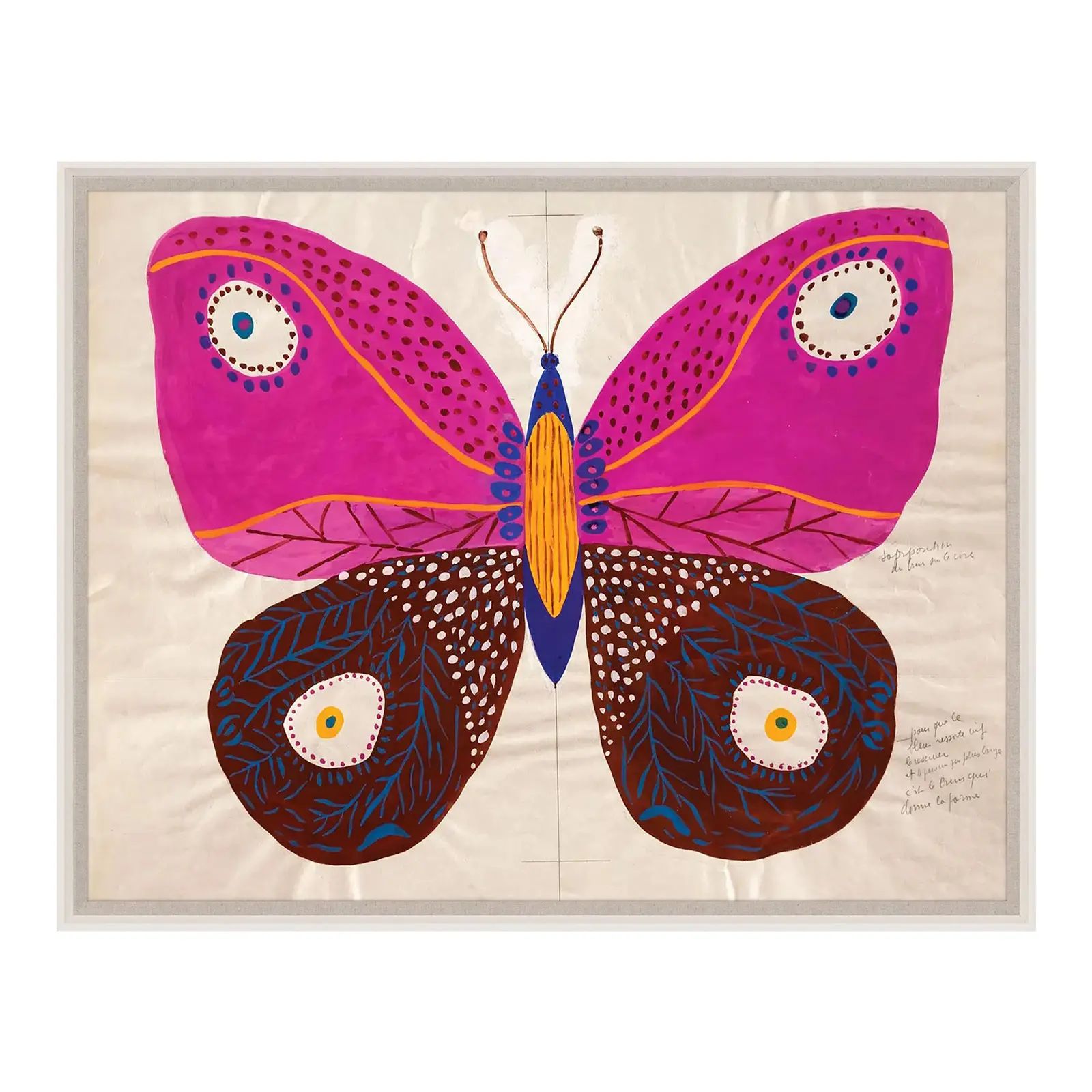 Natural Curiosities Paule Marrot Butterfly - Framed | Chairish