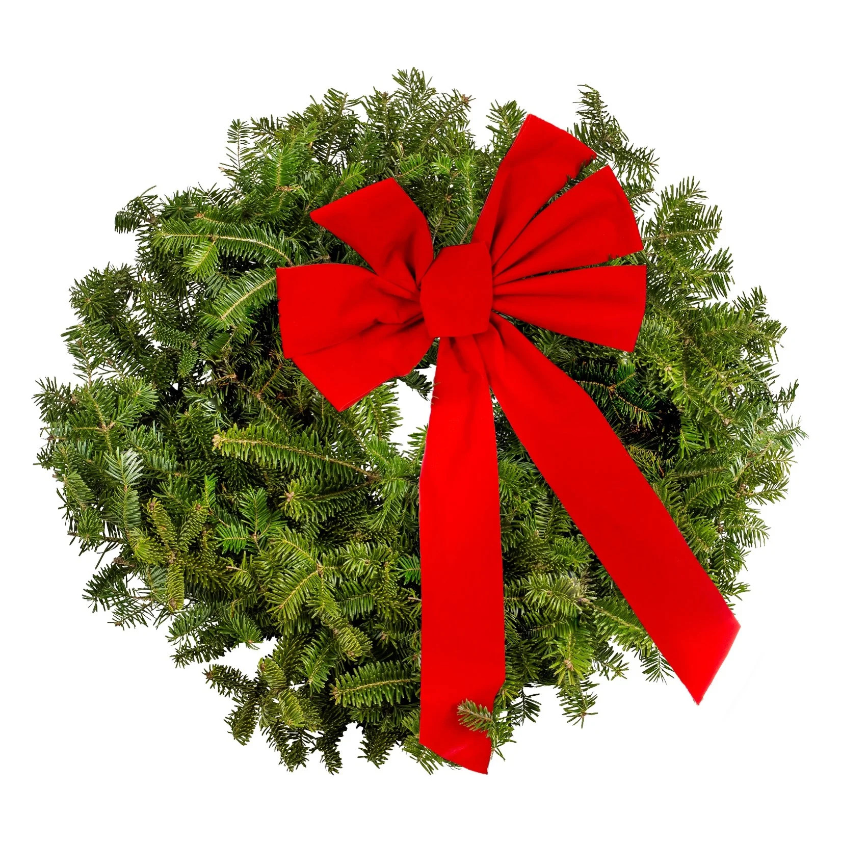 Expert Gardener 22" Fir Holiday Wreath Live Plant (1 Pack) with Bow | Walmart (US)