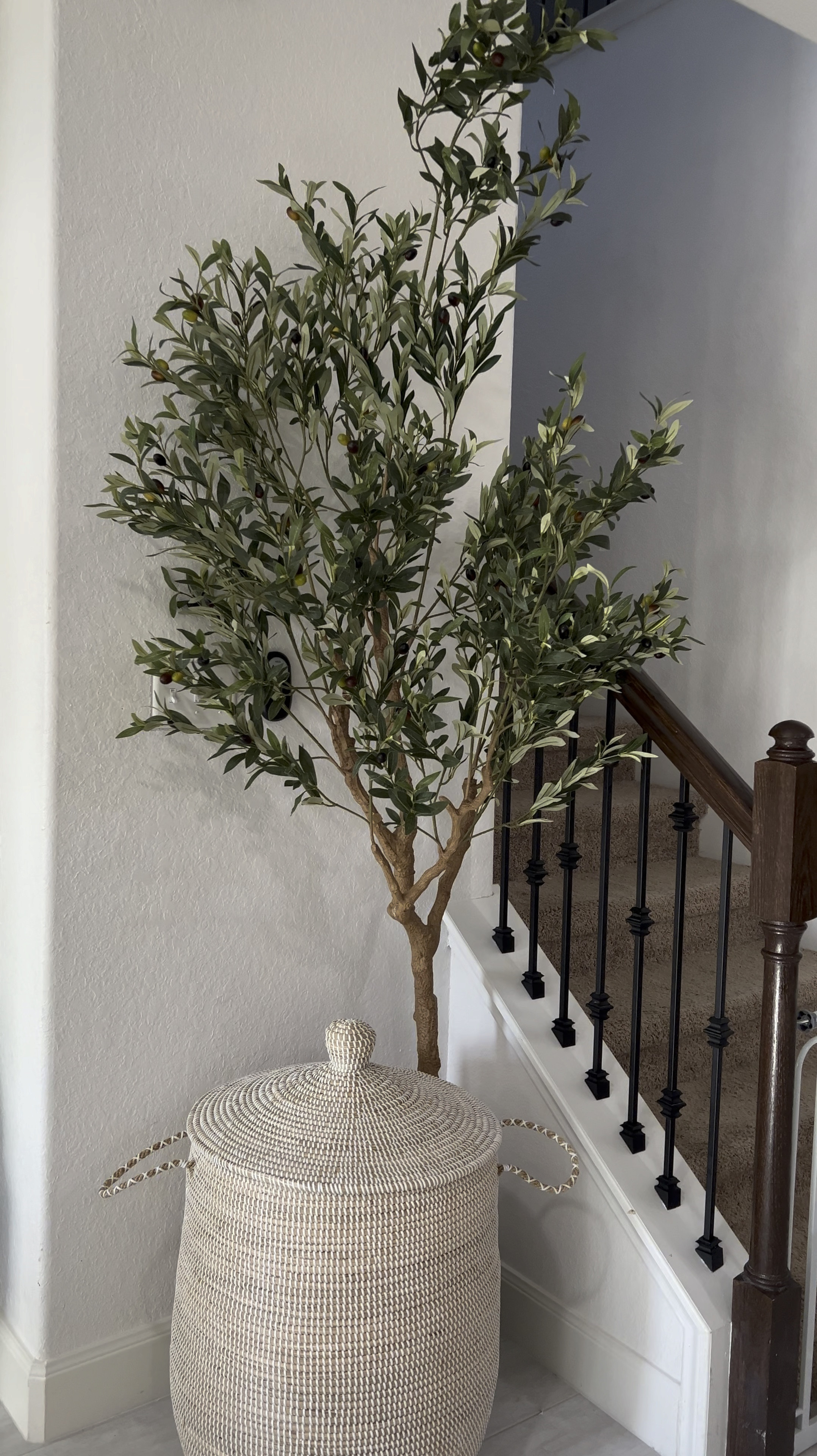 OBSESSED with this 8ft Olive Tree from Amazon ✨ #amazonhome decor find.



#LTKVideo #LTKhome