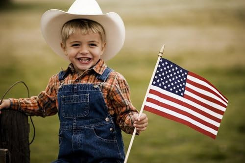 GIFTEXPRESS 12-Pack Made in USA 12x18 Inch US Stick Flags with Spear Tip, 12in x18 inch Handheld ... | Amazon (US)