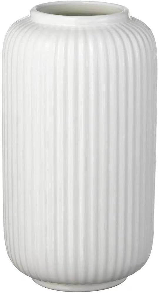 Eweeh White Ceramic Vase, Modern Minimalist Style Vase, Oval Shaped Flower Vase, Tall Porcelain F... | Amazon (US)