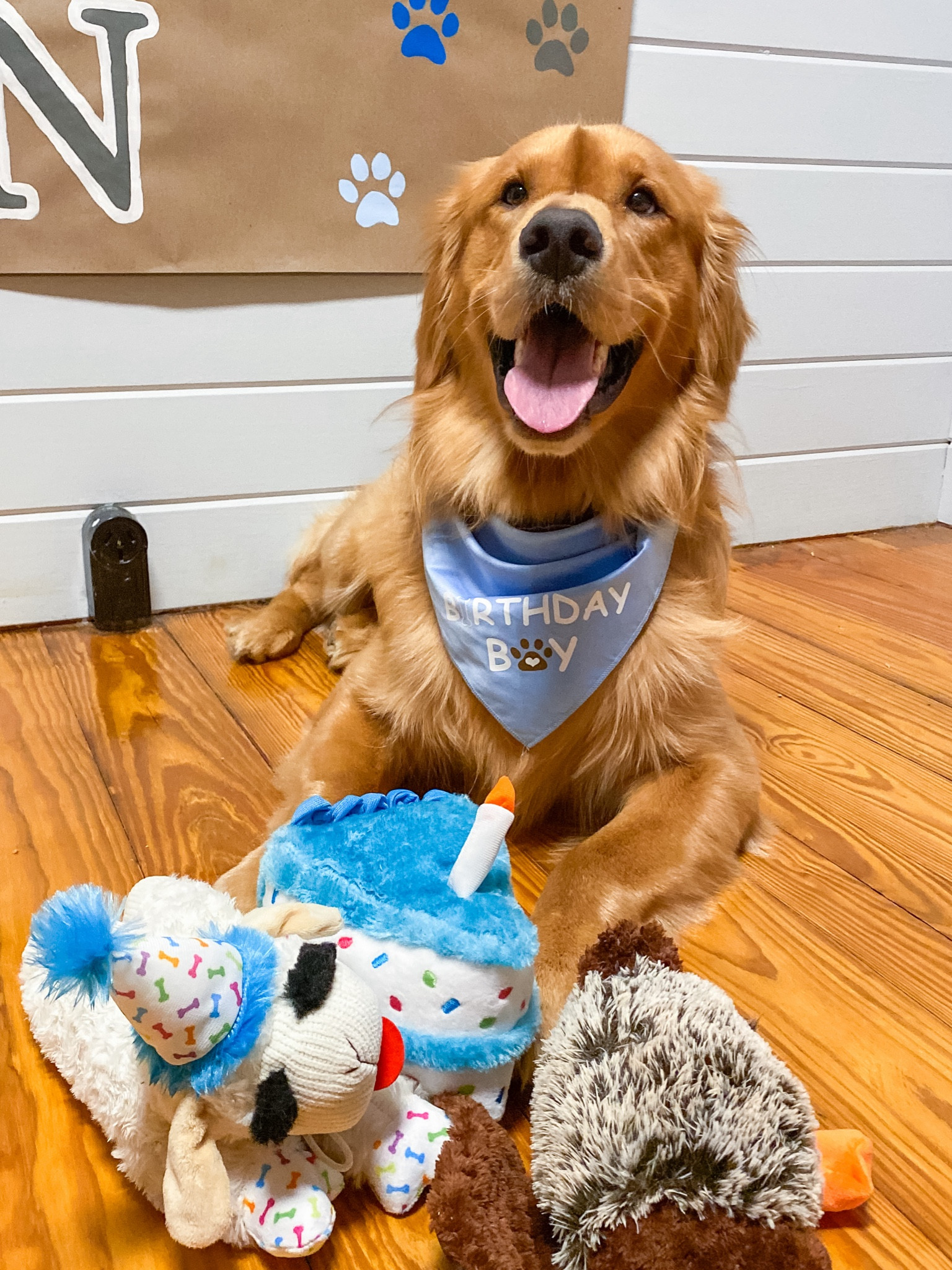 Finn's 1st birthday edition🥳🐾🎁🎈🎂🎉
Birthday dog bandana + birthday dog toys all linked from Amazon!

#LTKparties #LTKfamily