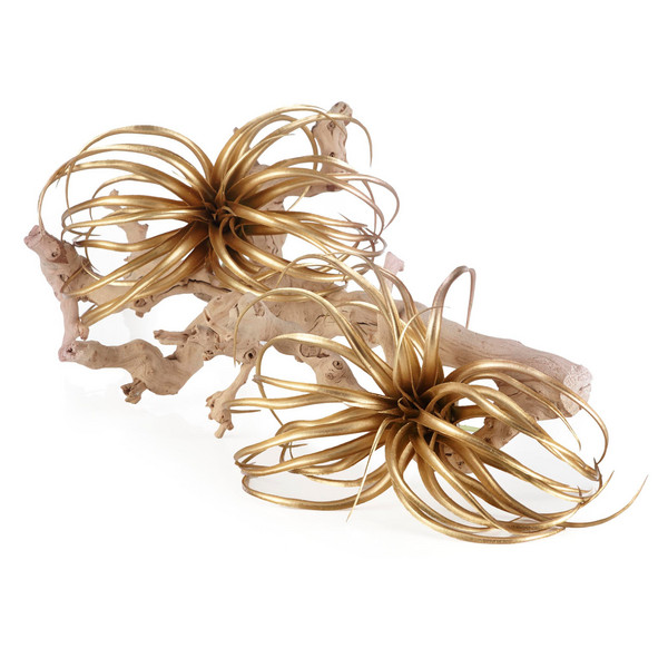 Faux Air Plant | Z Gallerie