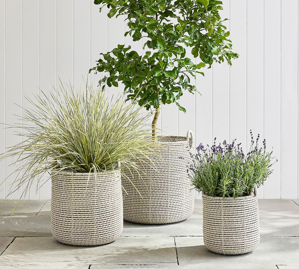 Porter Woven Planter | Pottery Barn (US)
