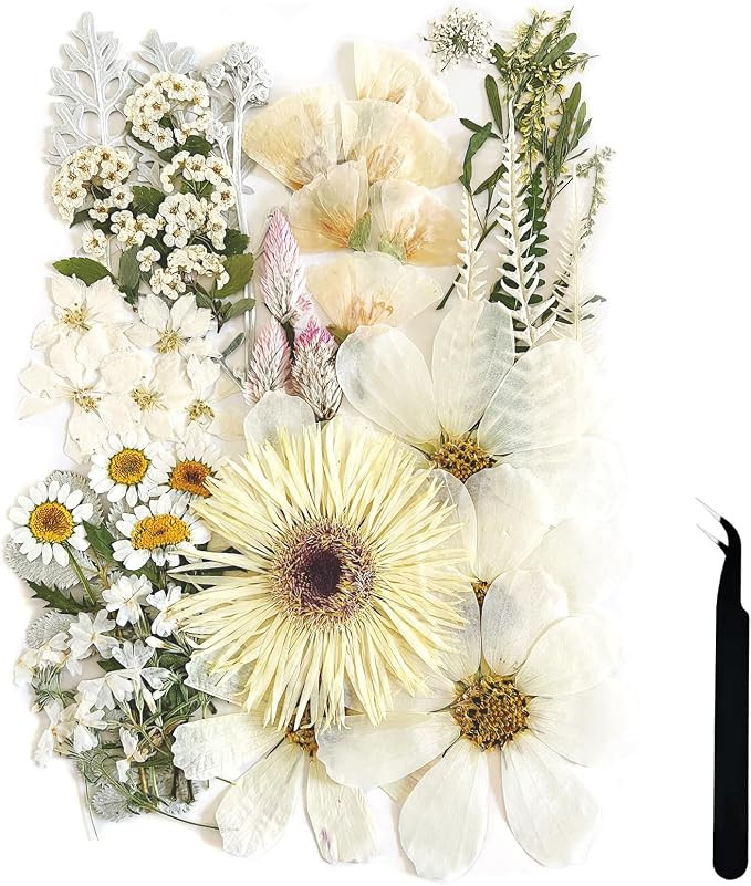 A4 Large Dried Pressed Flowers for Resin White Pressed Flowers Real Dry Natural Flowers Leaves fo... | Amazon (US)