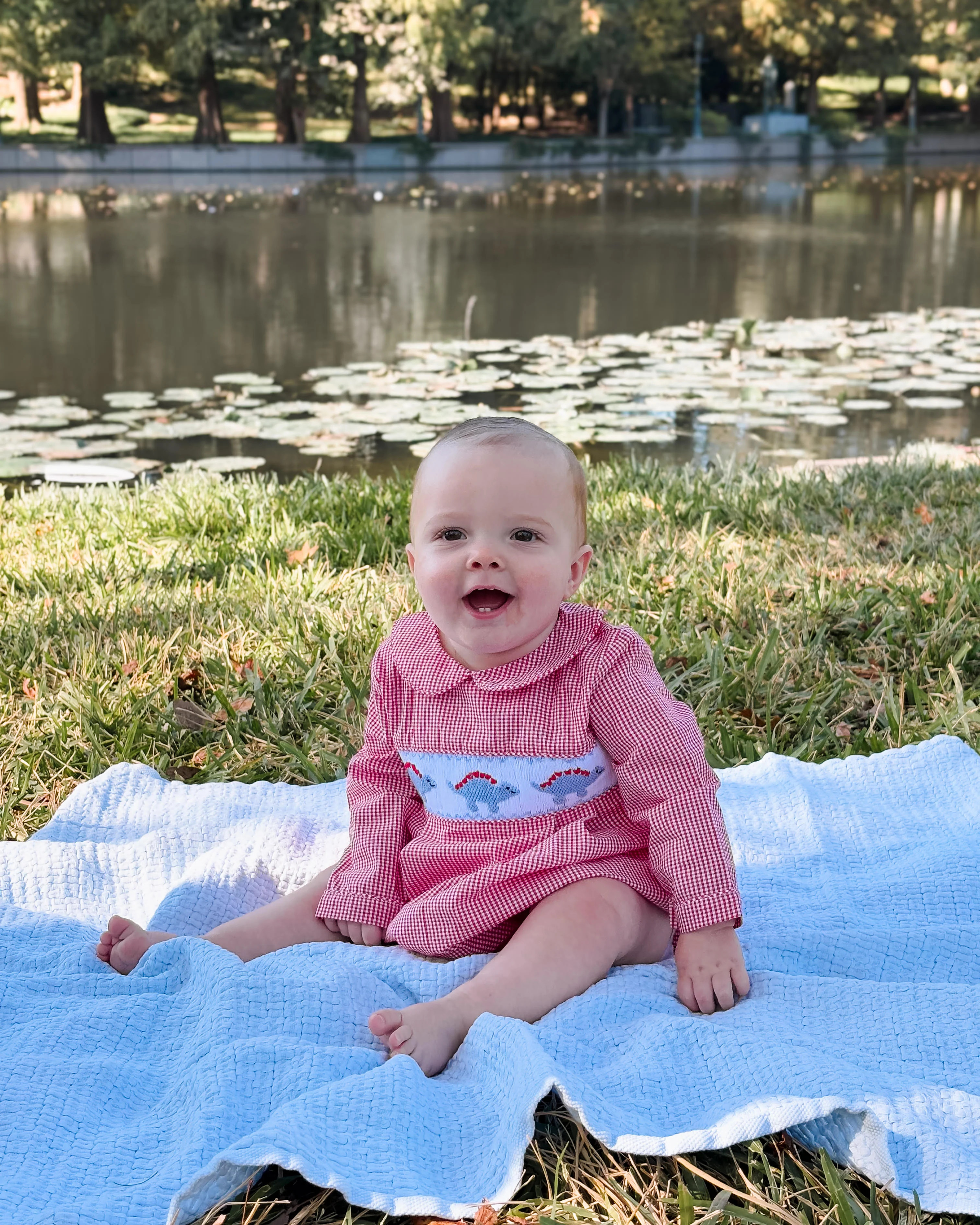 The Scott Bubble | Little Sloans