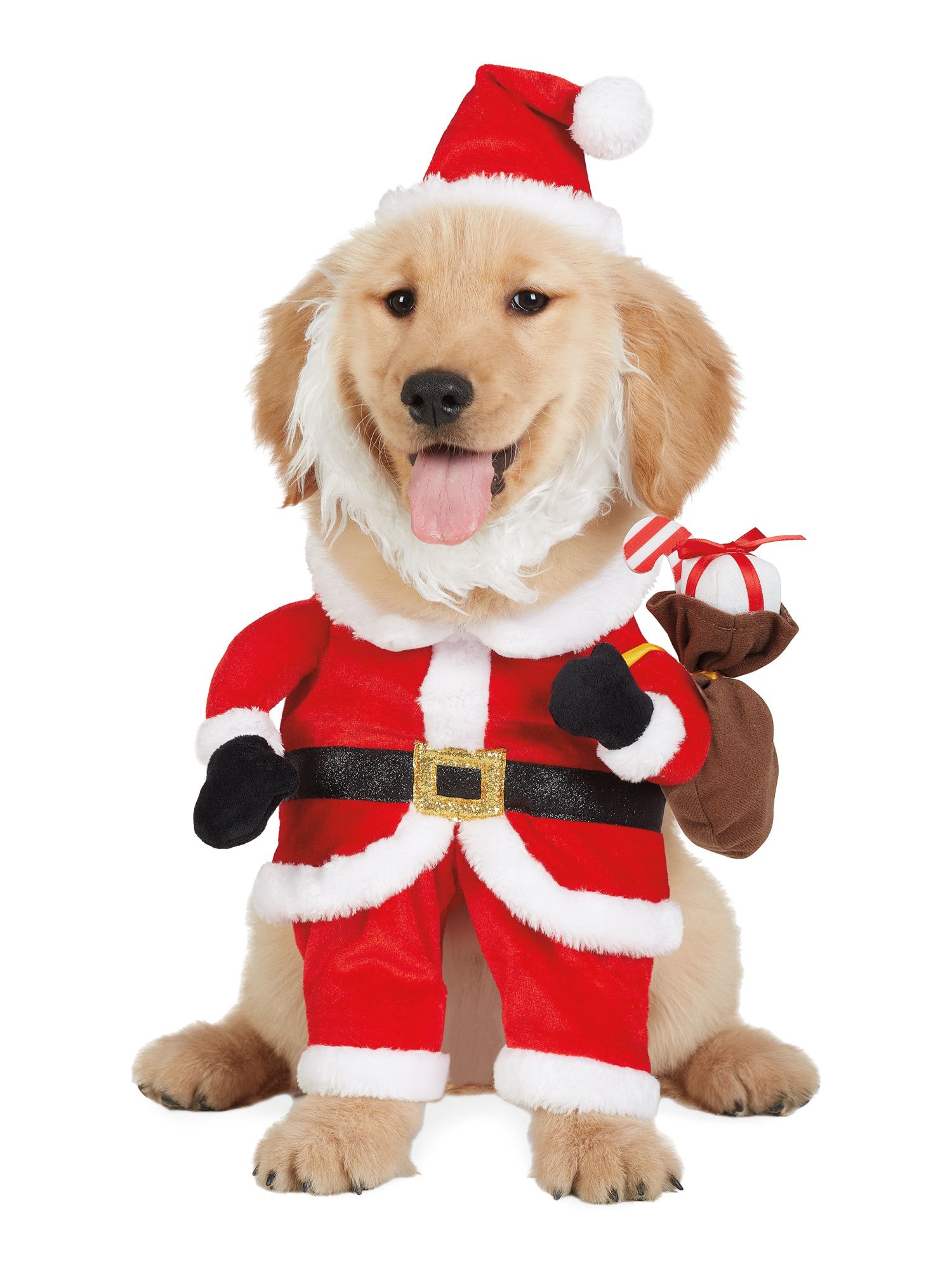 Santa Claus Pet Costume | Home | Marshalls | Marshalls