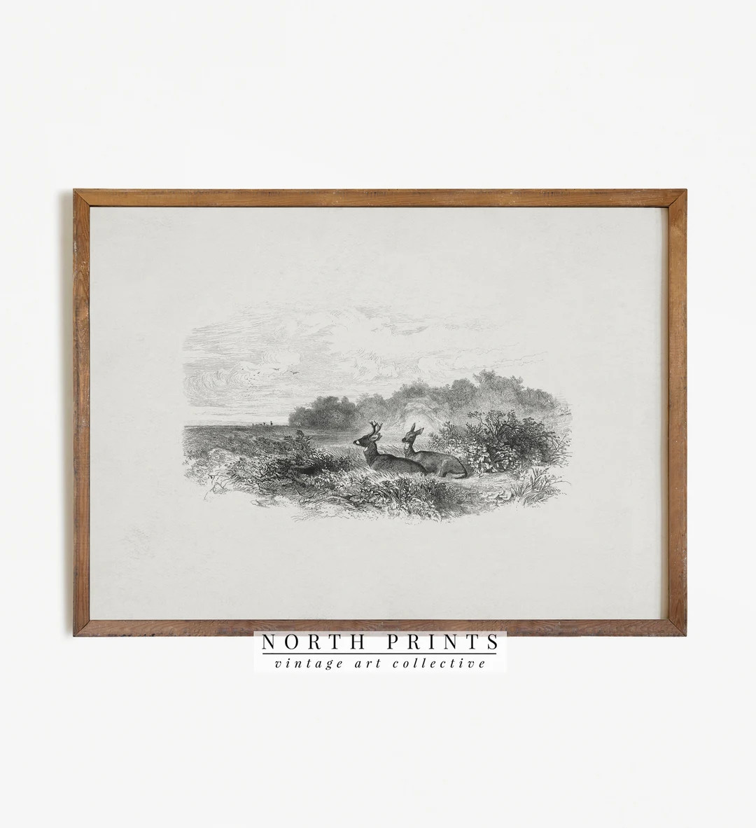 Vintage Deer Sketch Woodland Landscape Drawing PRINTABLE - Etsy | Etsy (US)