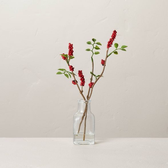 Faux Red Berry Stems Glass Arrangement - Hearth & Hand™ with Magnolia | Target