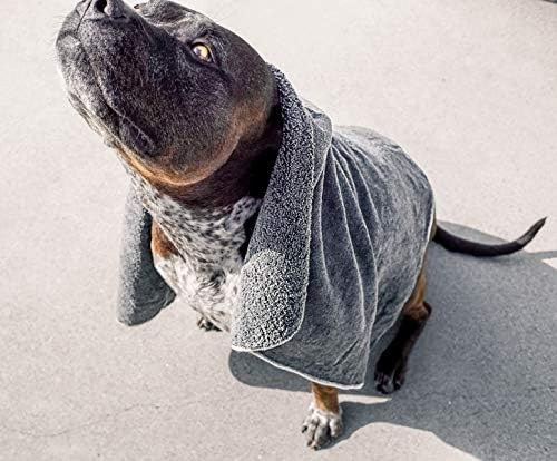 Microfiber Pet Bath Towel, 2-Pack, Ultra-Absorbent, Double Density, Machine Washable for Dogs and Ca | Amazon (US)