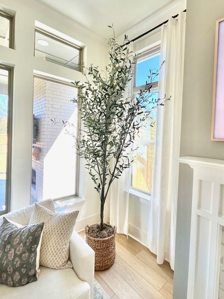 Everyone’s favorite faux olive tree!!