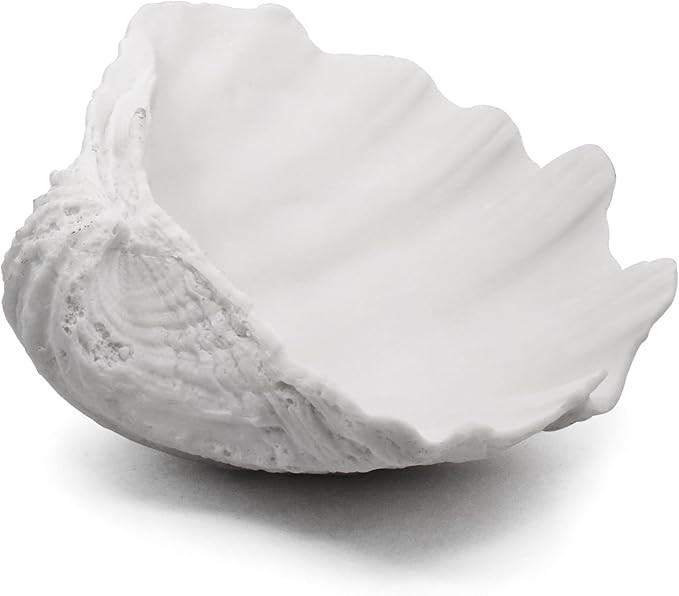Extra Large Clam Shells Decorative Bowl-White Sea Shells Decorative Storage Bowls for Coastal Bea... | Amazon (US)