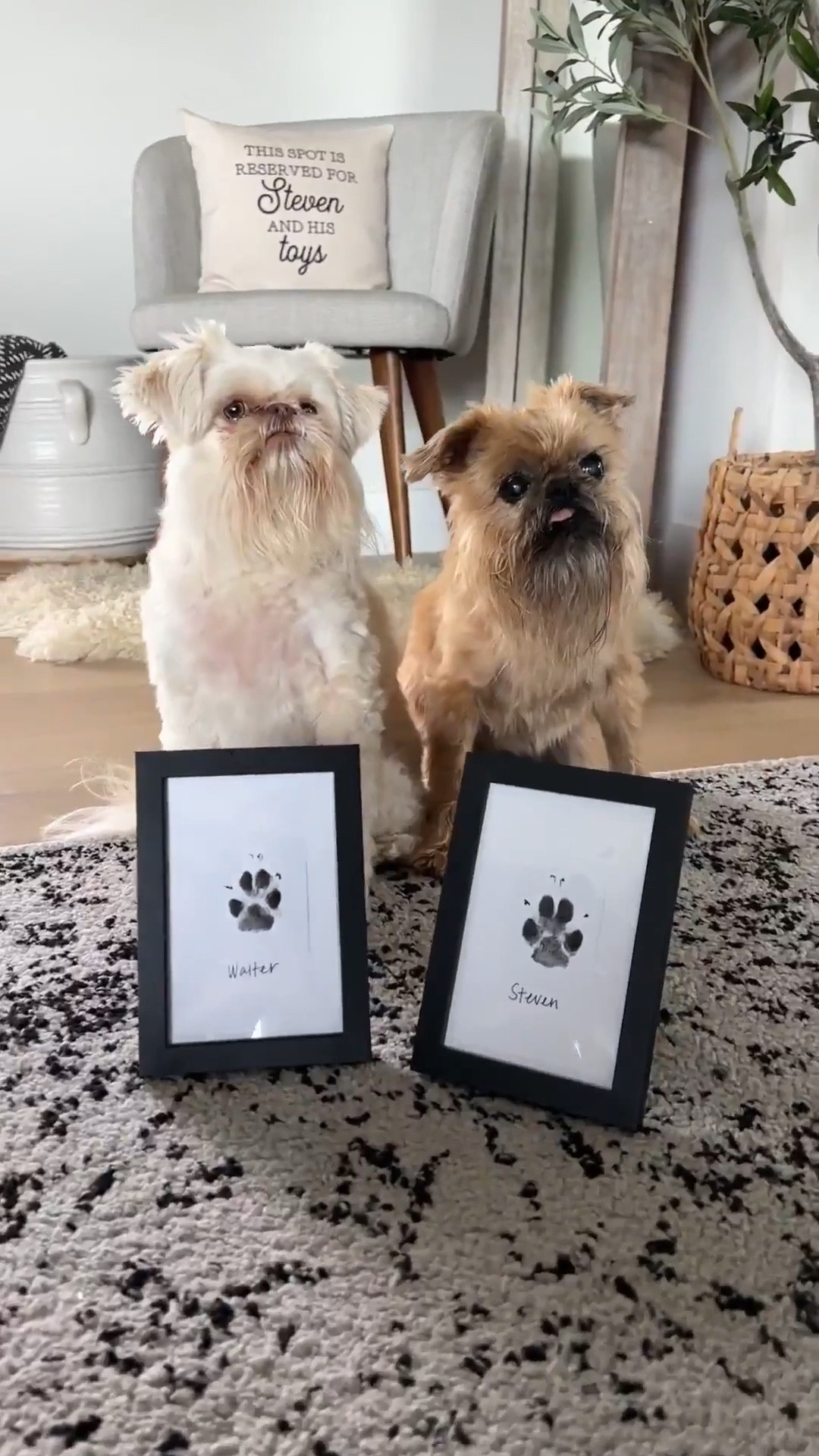 Paw print pads for dogs or baby hands and feet! These make the best sentimental gift!



#LTKBaby #LTKKids #LTKHome