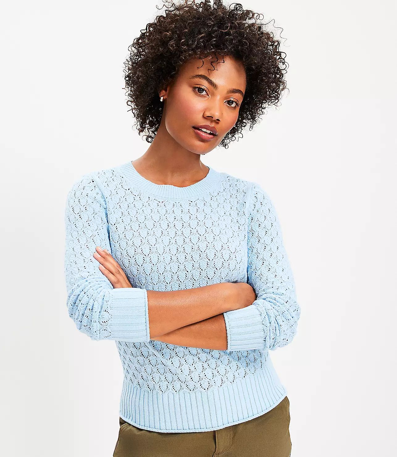 Pointelle Sweater | LOFT