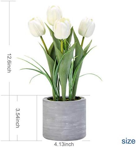 Jusdreen Artificial Potted Tulips Flowers with Cement Vase Vivid Tulip Flowers Arrangement for Home  | Amazon (US)