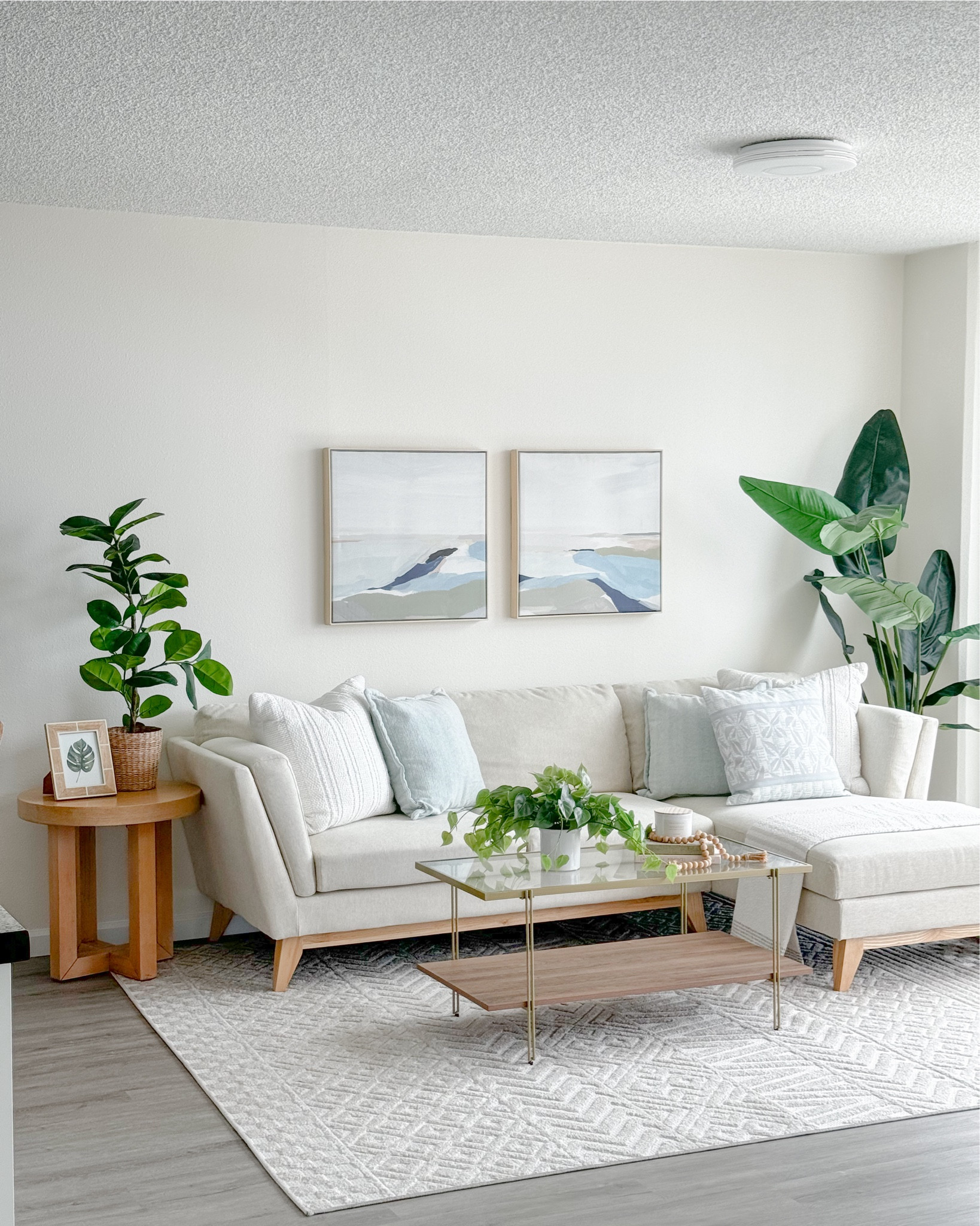 This neutral living room look is perfect for any space and can be style in anyway! Highlighting this neutral area rug and glass top coffee table is so versatile!

#LTKHome