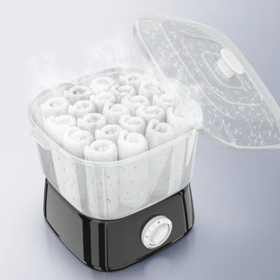 Hot Towel Steamer Quick Heating Steam Towel Warmer | Wayfair North America
