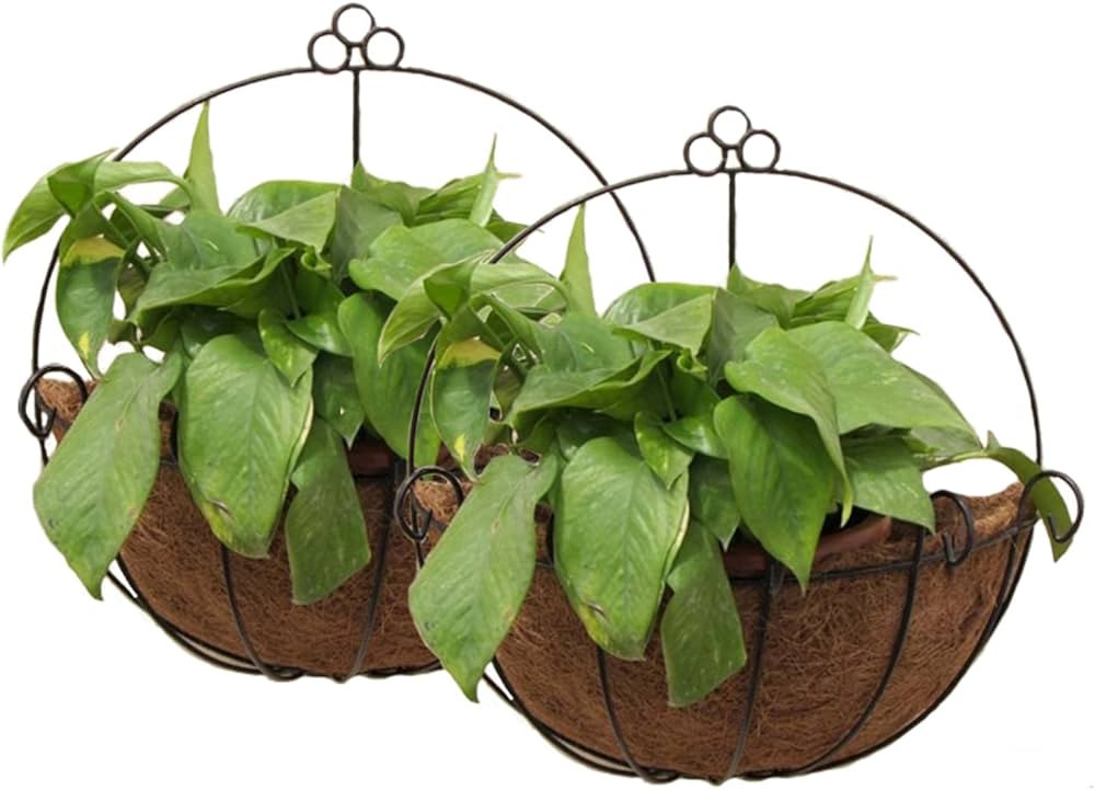 Tosnail 2 Pack Metal Wall Hanging Planter Basket with Coco Liner - Great for Indoor or Outdoor Pl... | Amazon (CA)